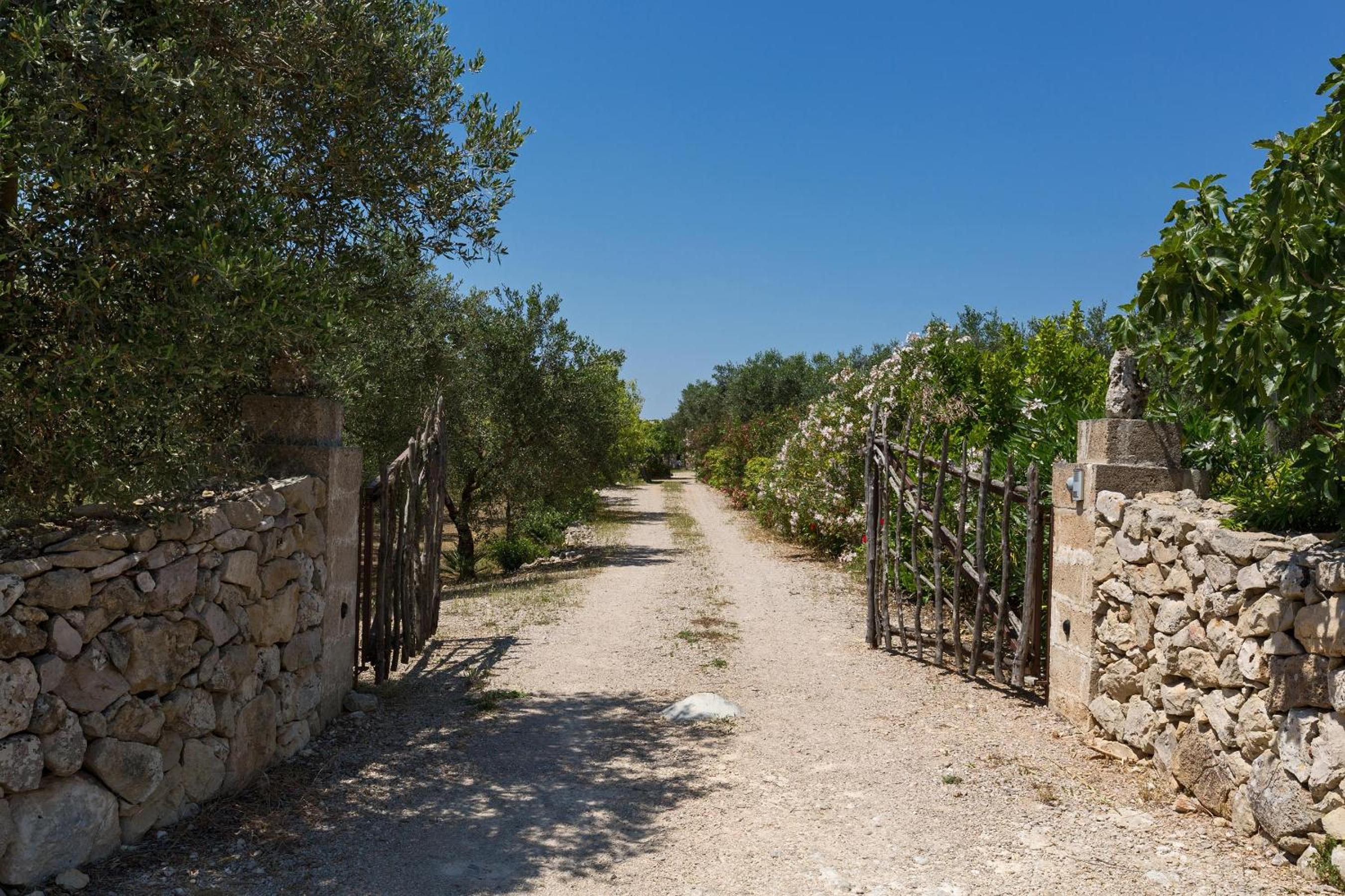 Photo 21