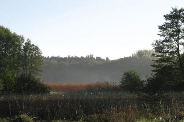 FeWo Ferien am Schweriner See Flessenow