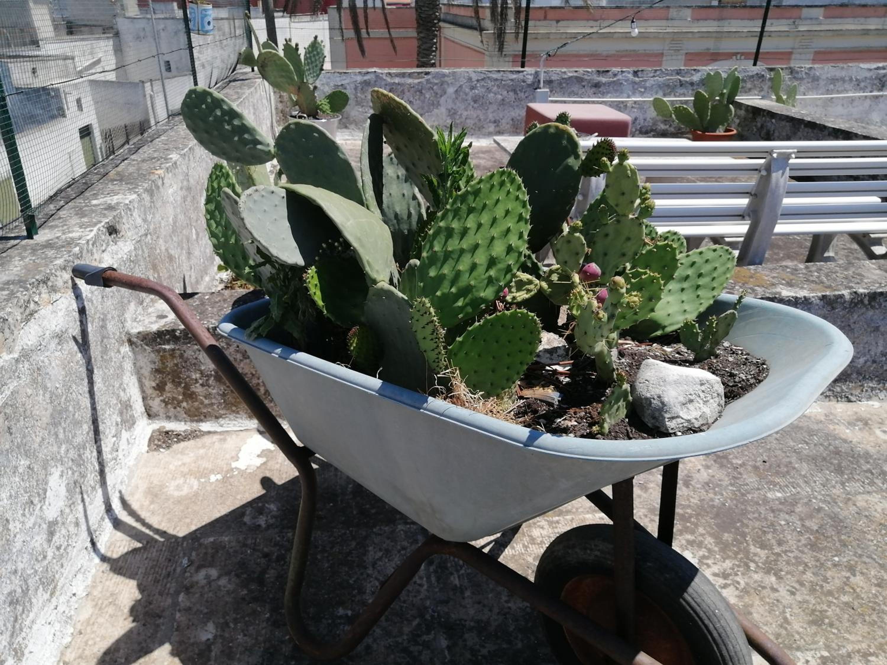 Photo 20