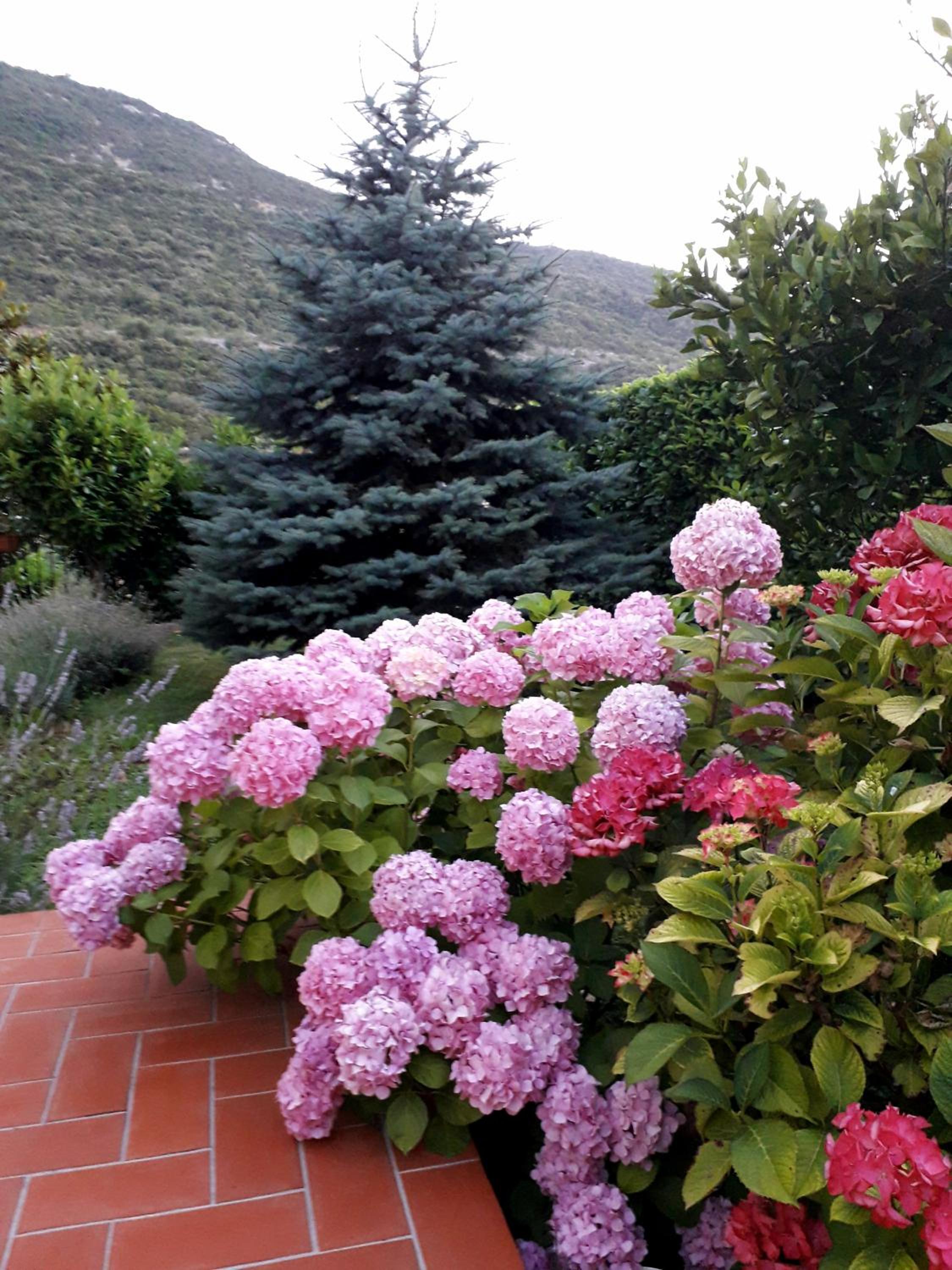 Photo 33