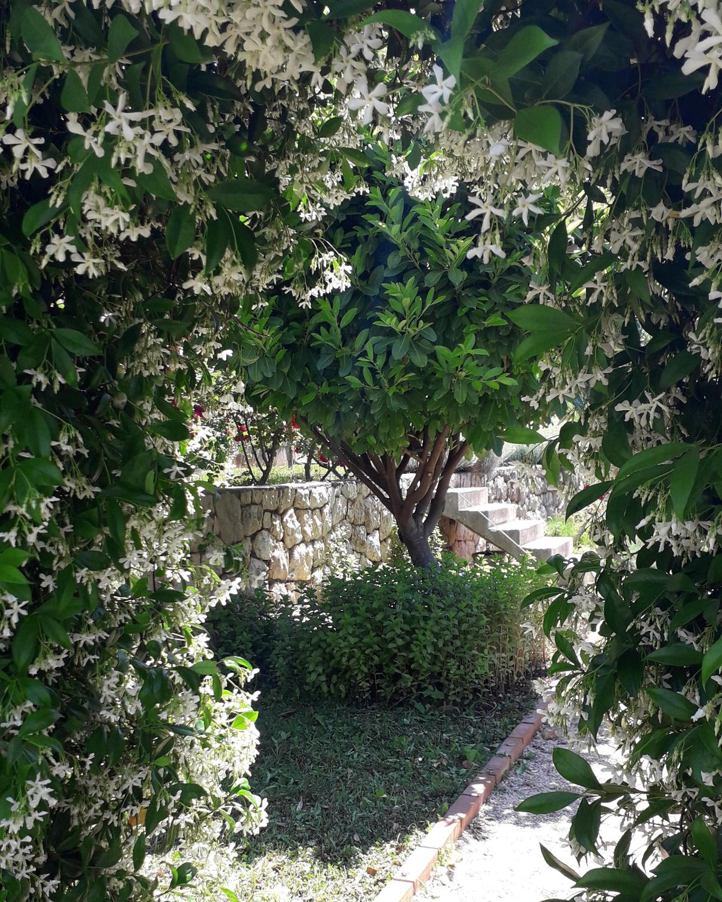 Photo 9