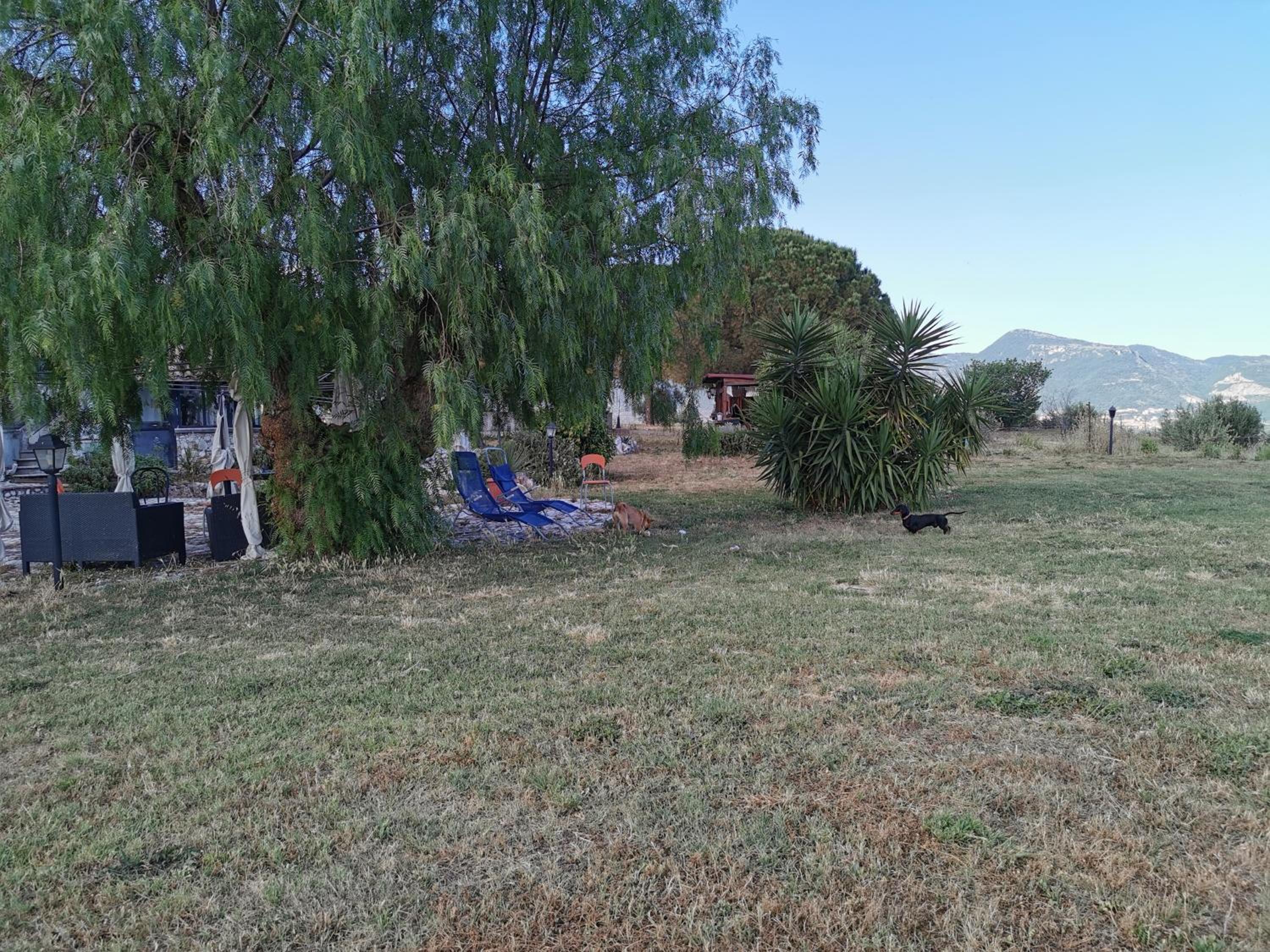 Photo 18
