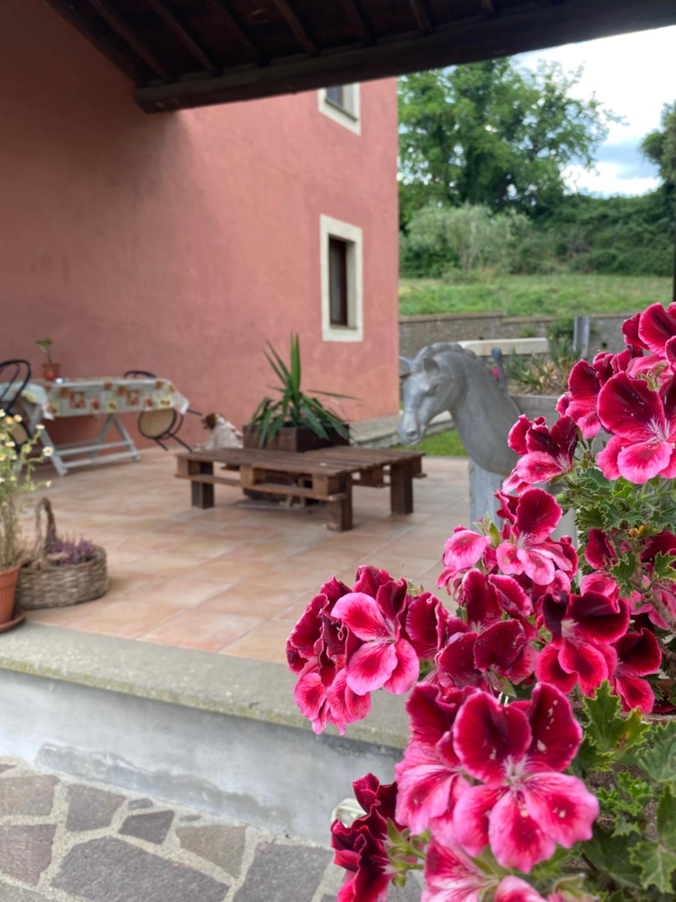 Antico Casale Edifizio view 4