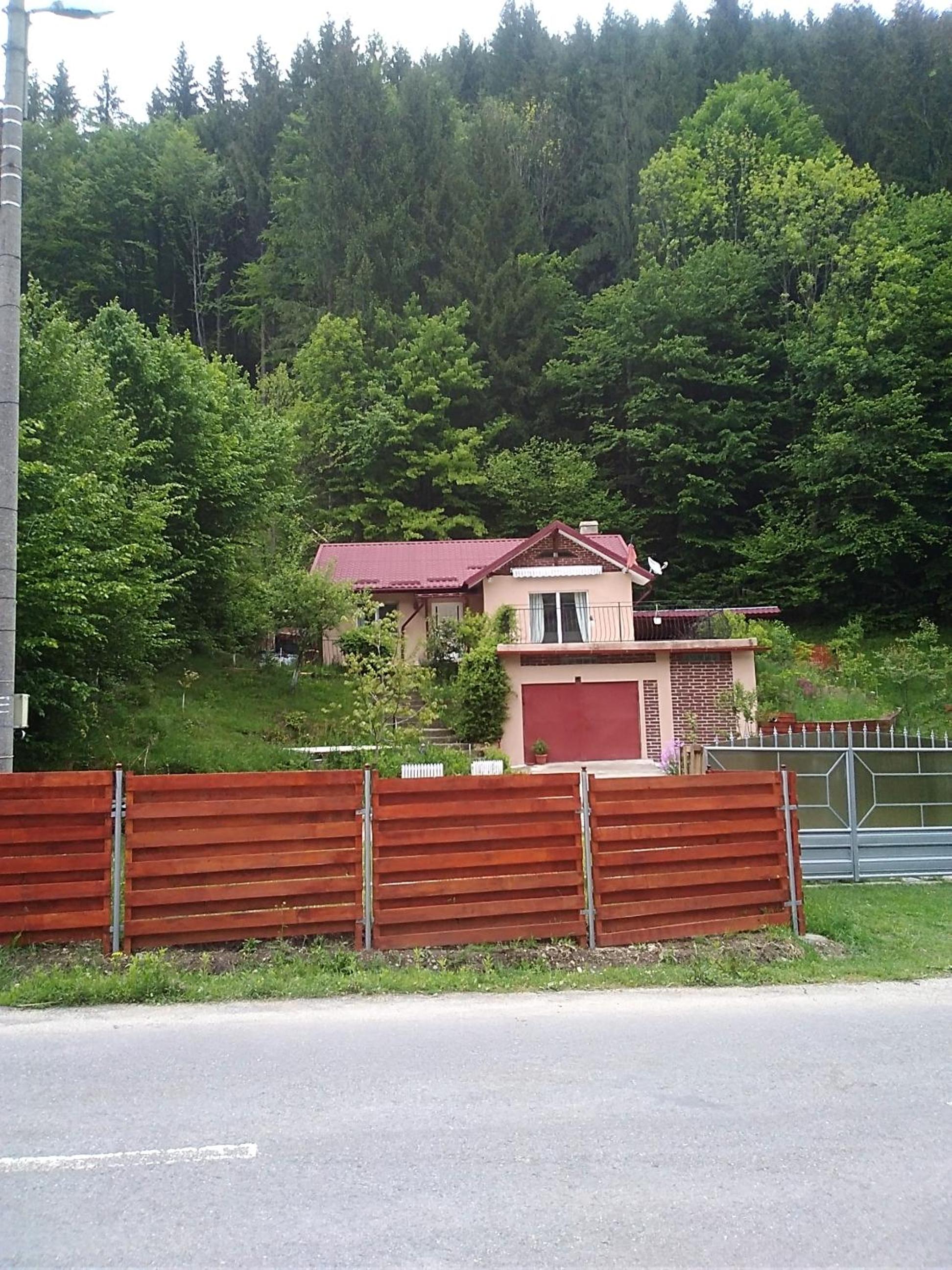 Photo 24