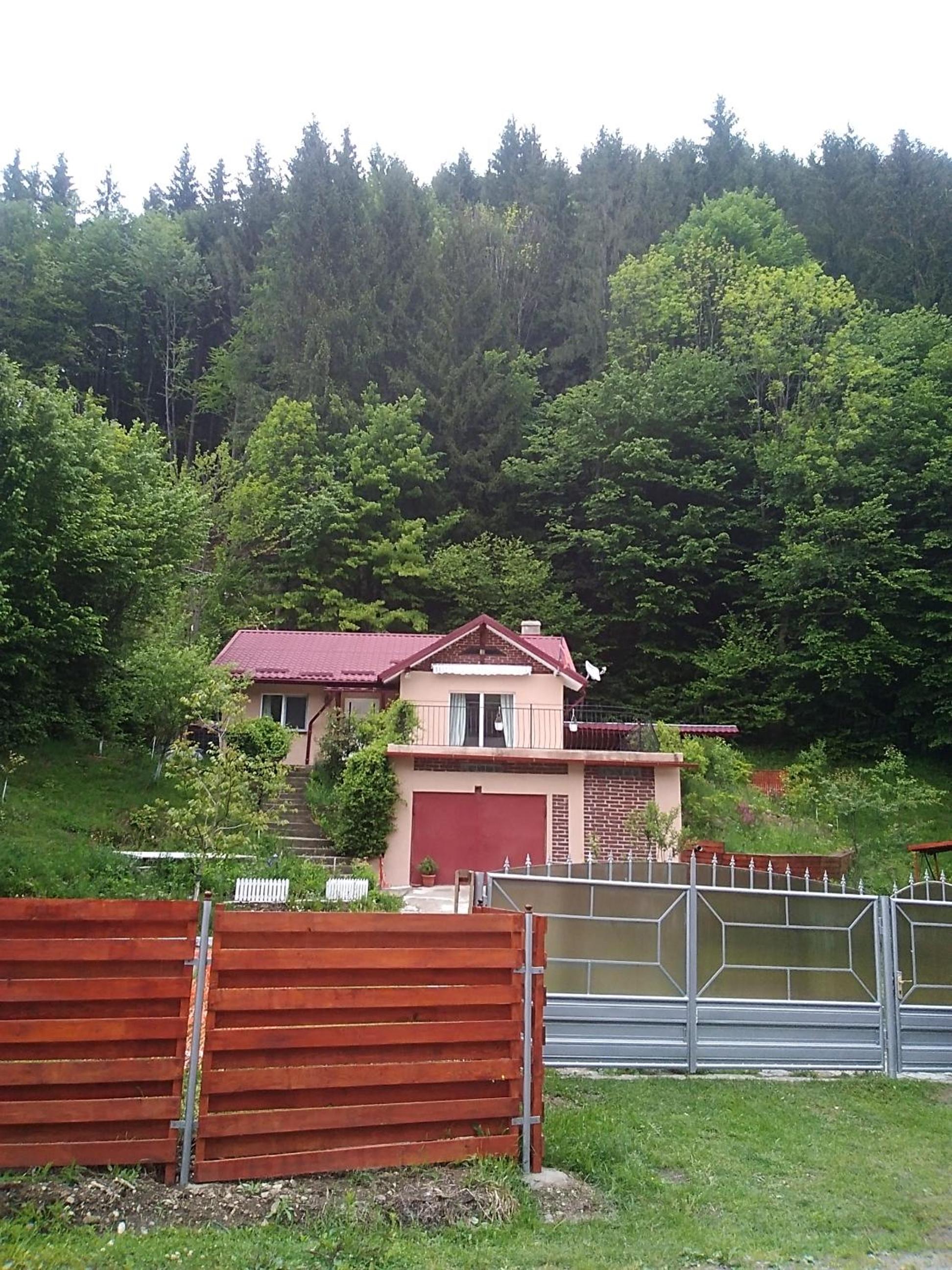 Photo 25