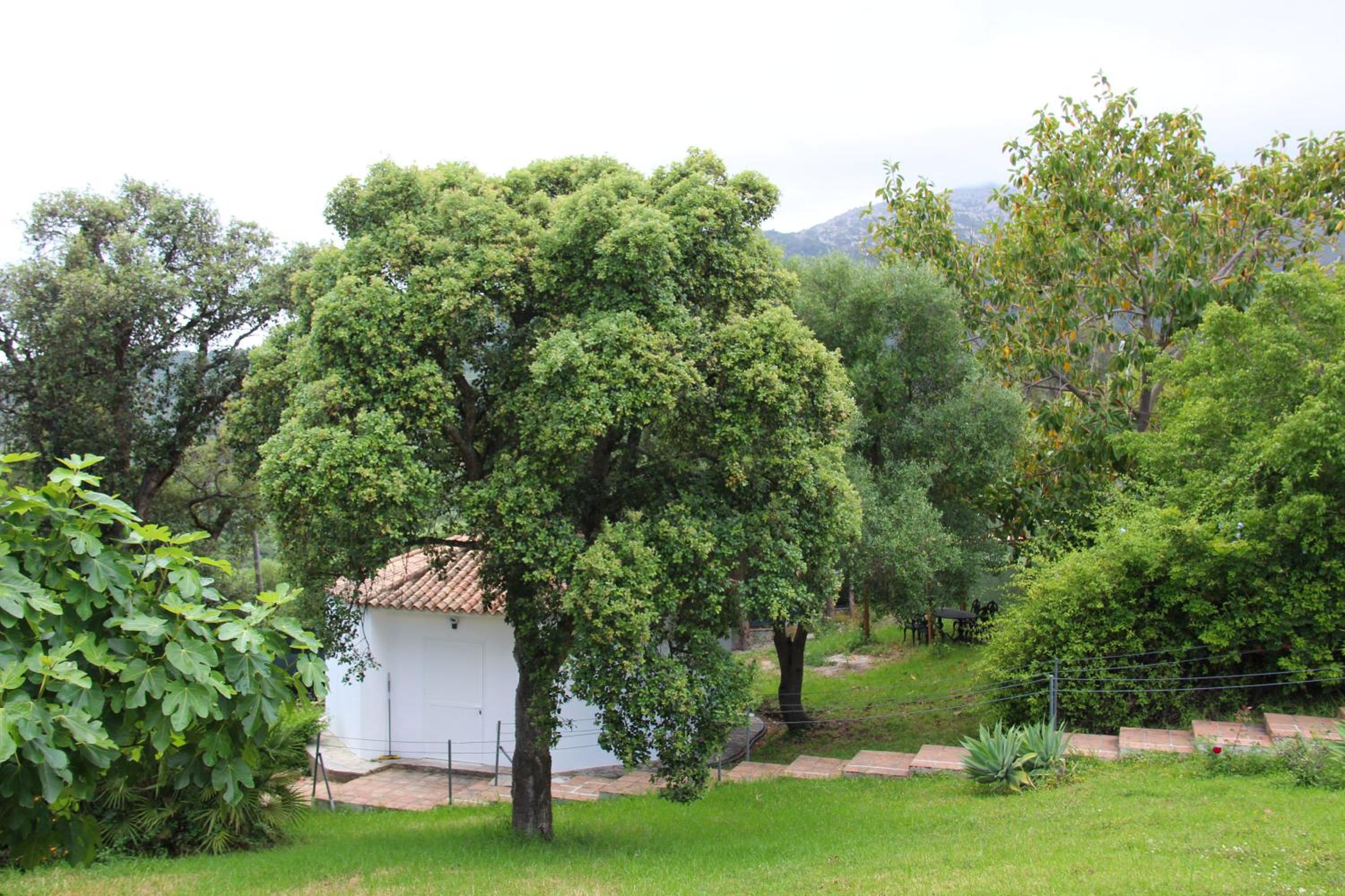 Photo 27