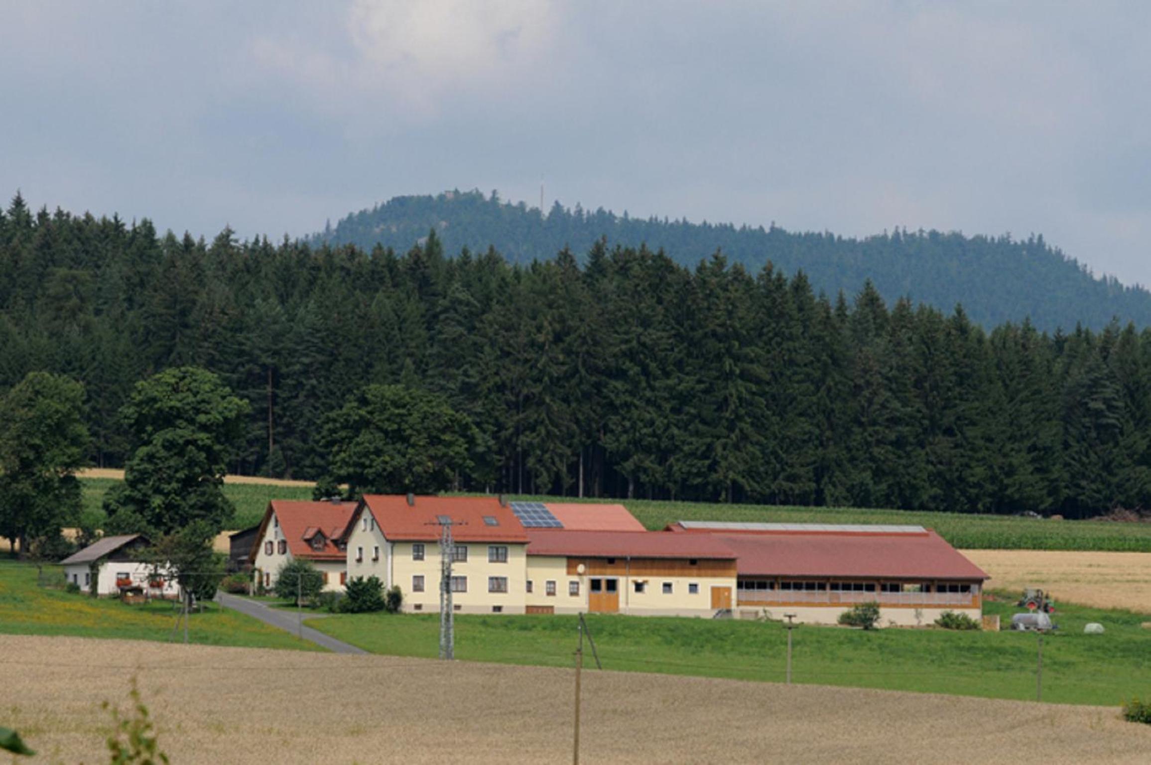 Ferienwohnung Burgerhof view 5