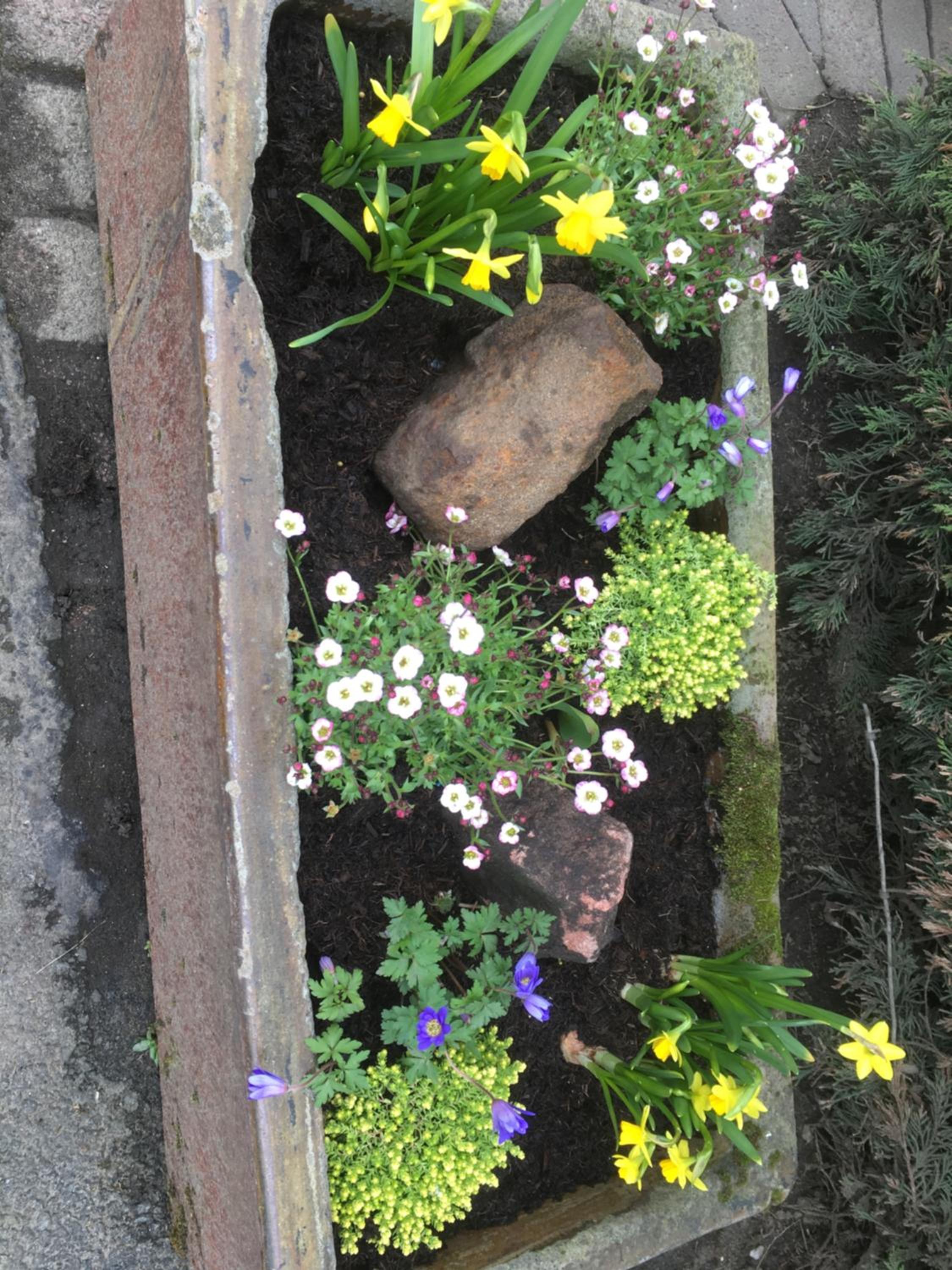 Photo 18