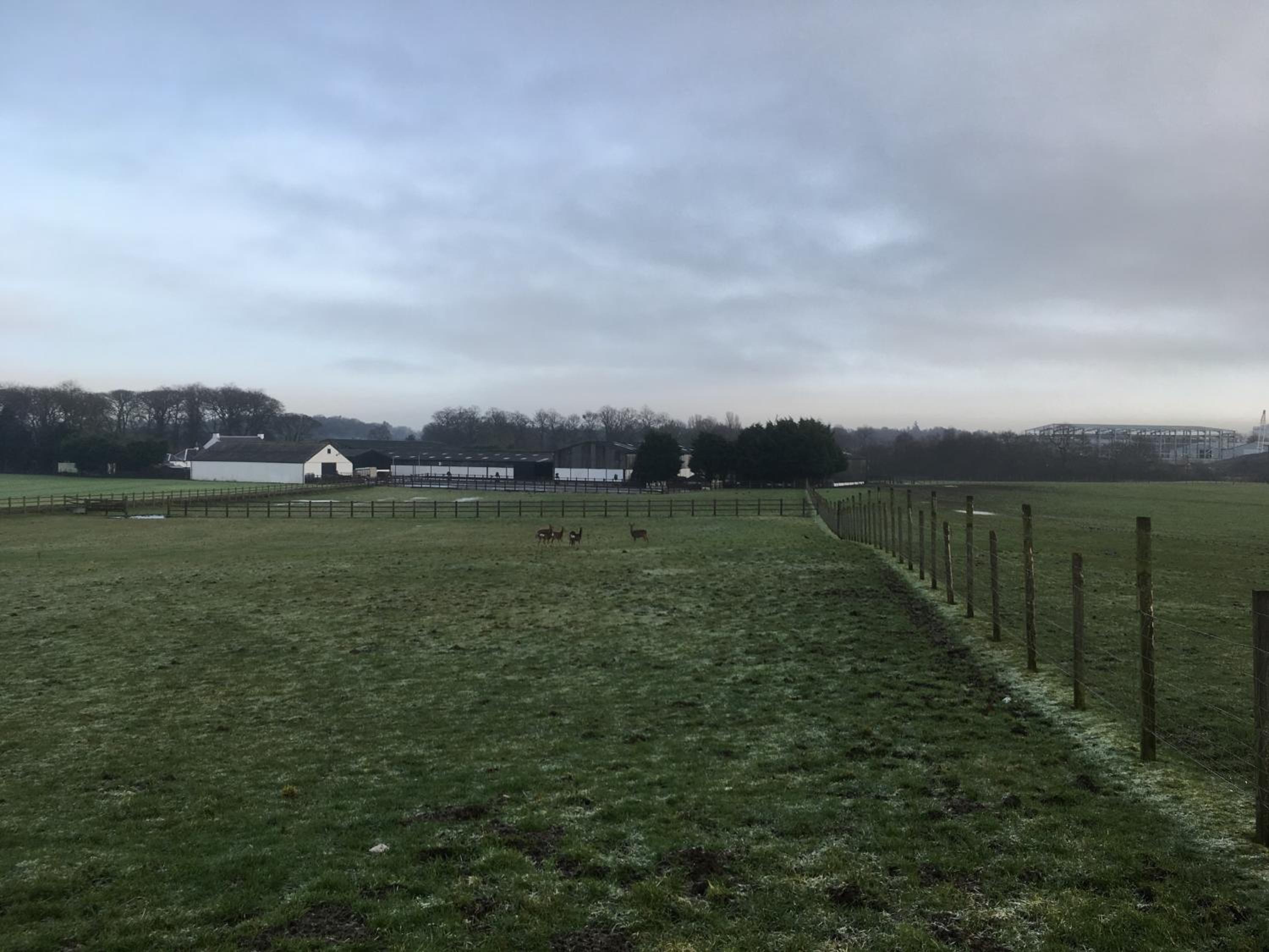 Auchenlea lodges - Image 2