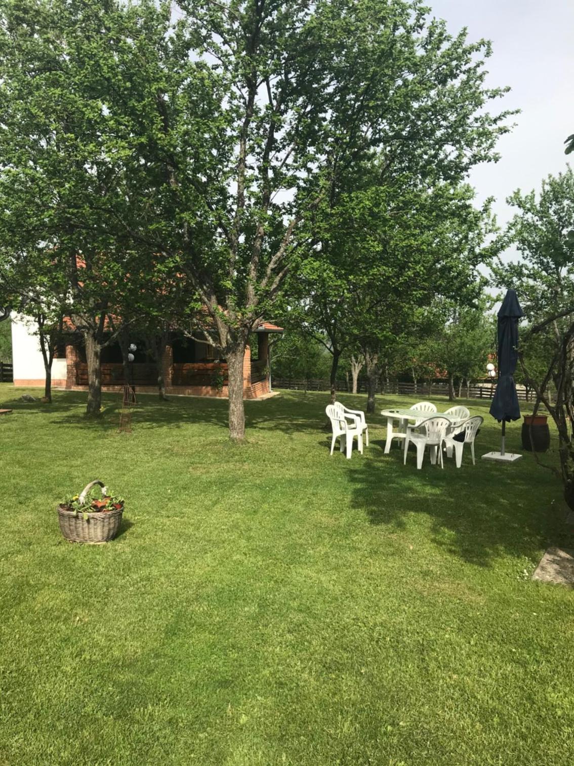 Photo 34