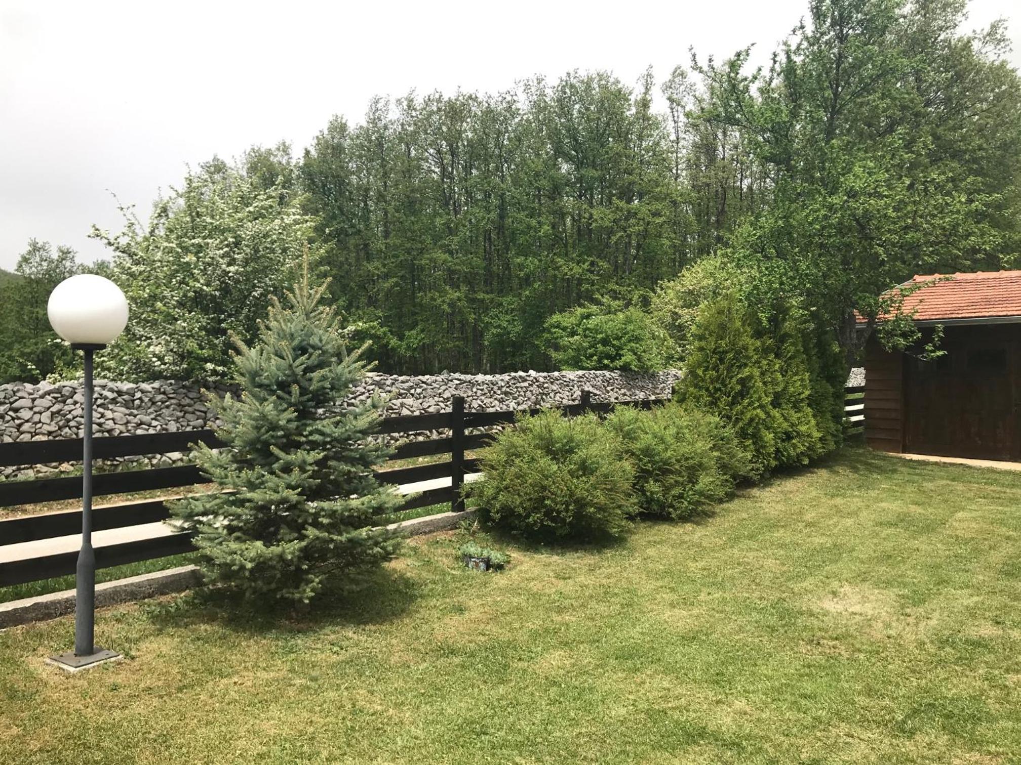Photo 39