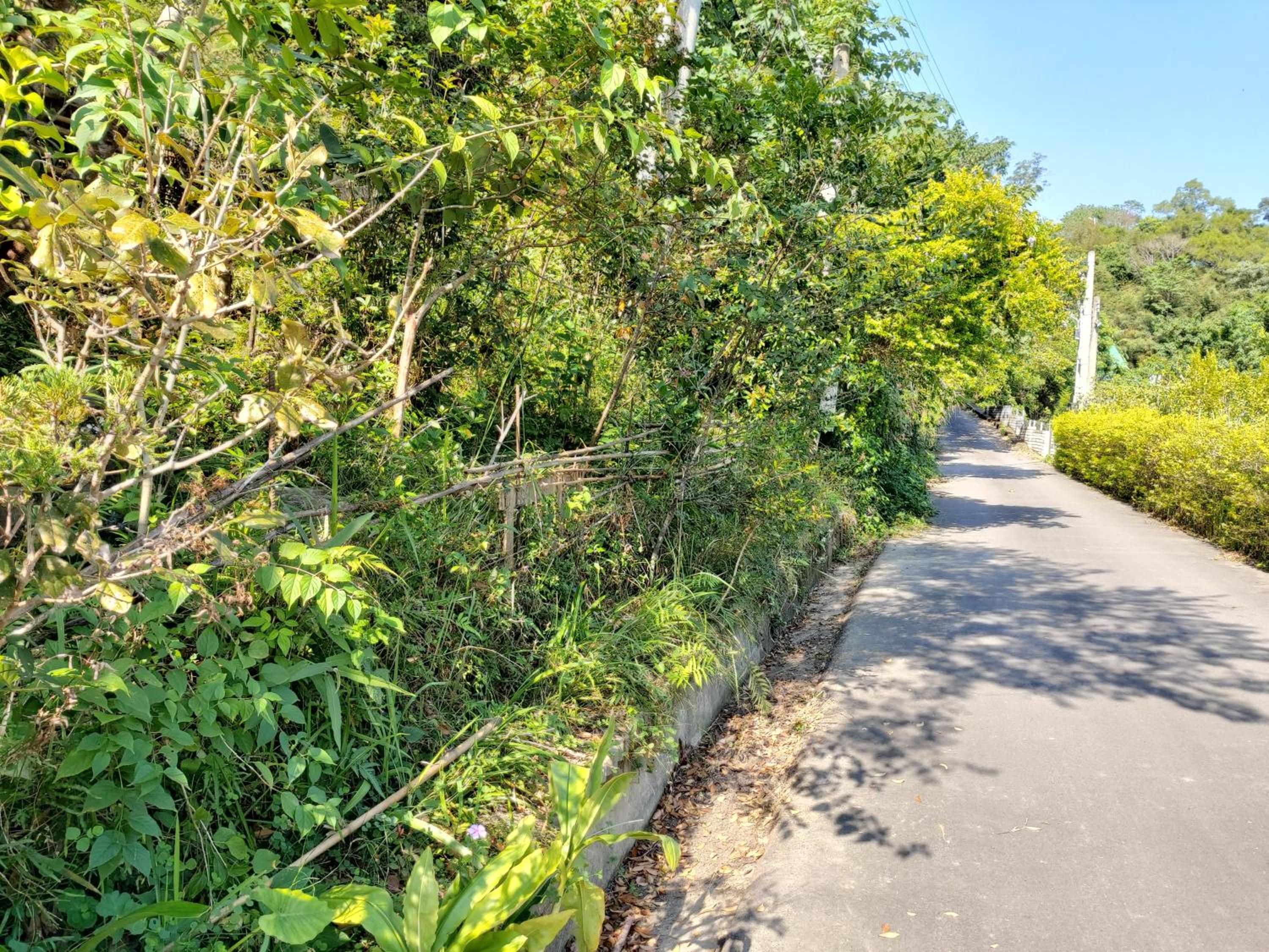 遇見台灣百合民宿 view 4