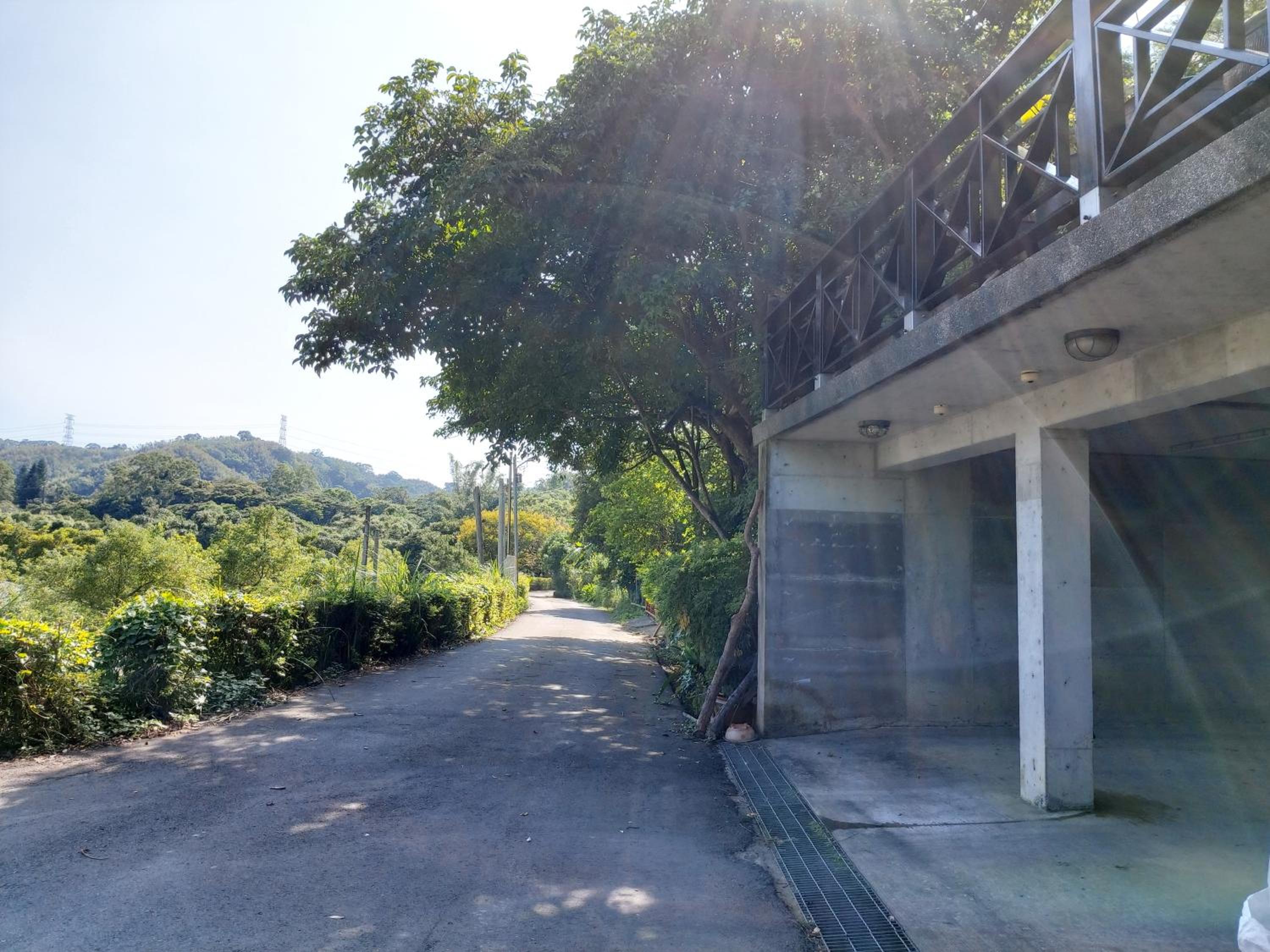 遇見台灣百合民宿 view 3