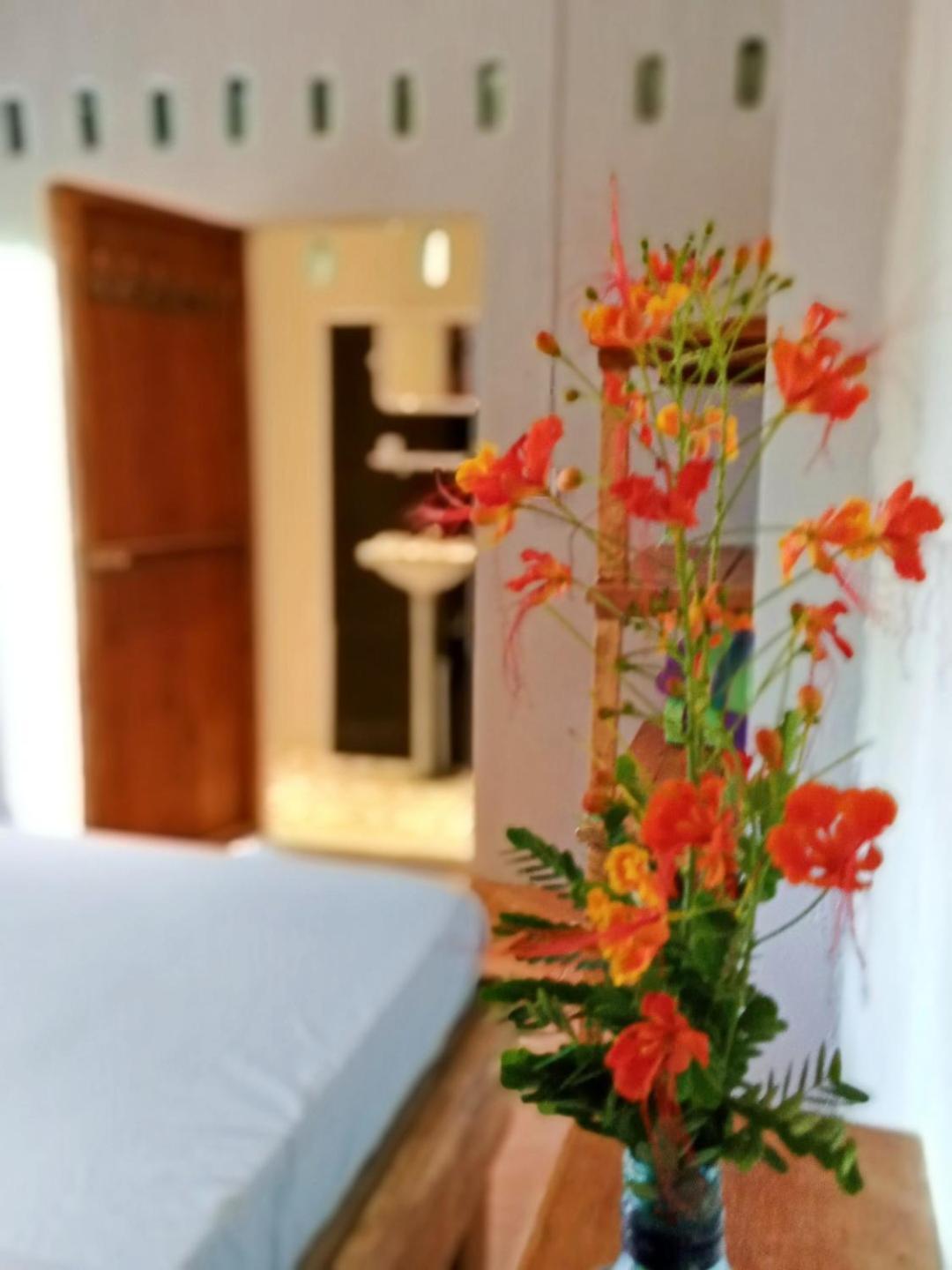 Dragonfly Guesthouse M'Pai Bay