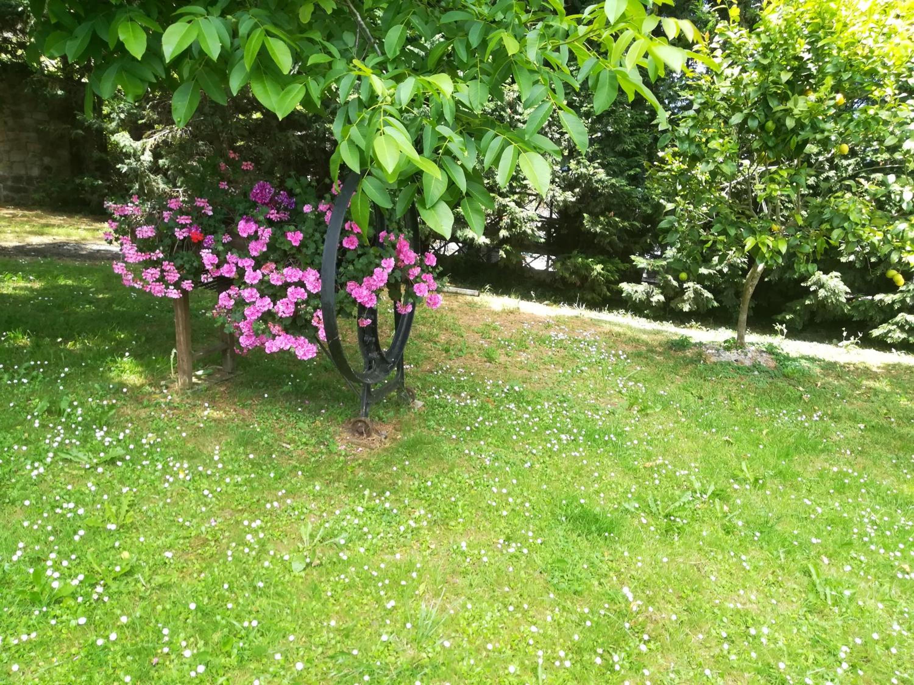 Photo 22