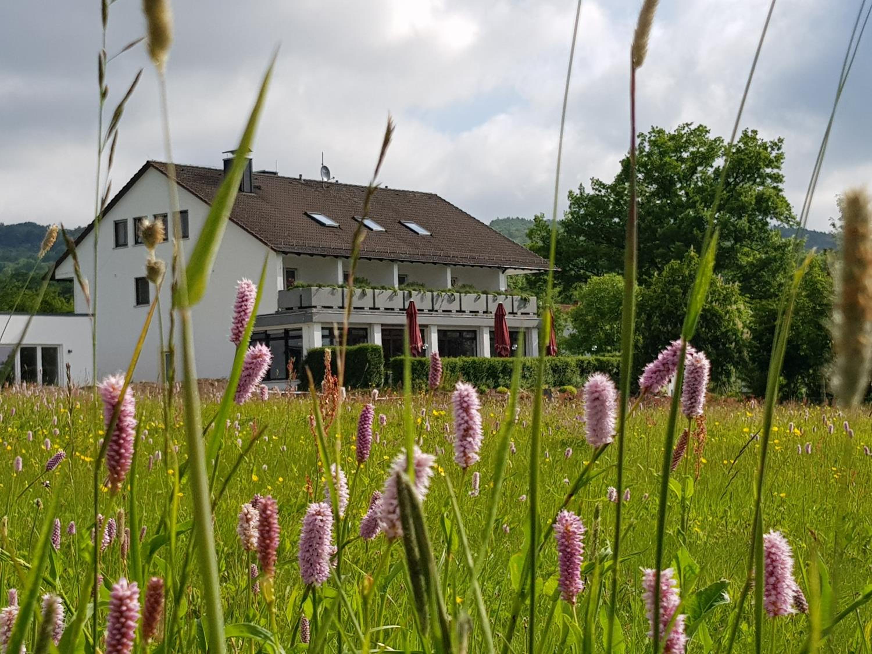 MUT.HAUS