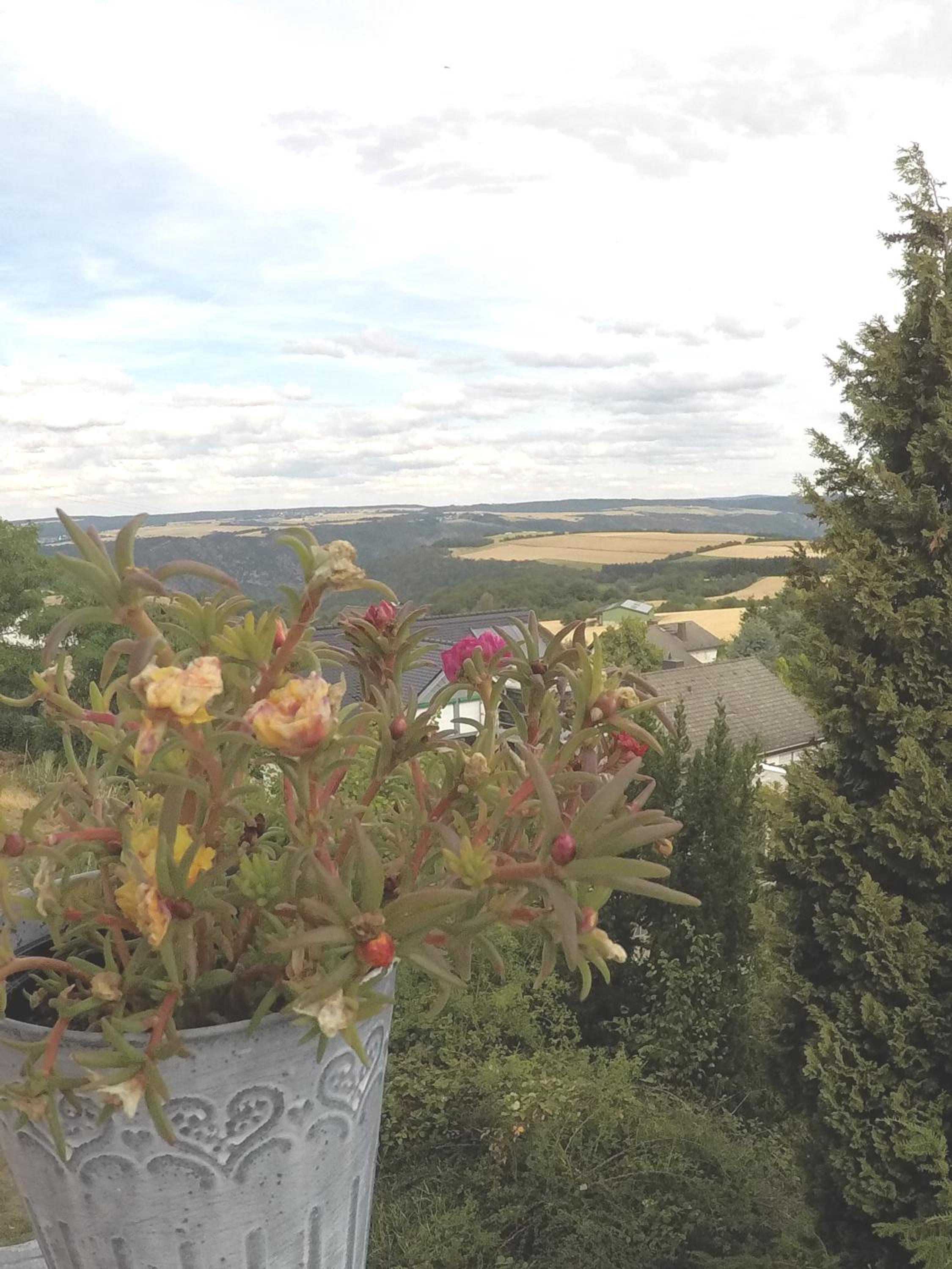 Zum Alten Pfarrhaus