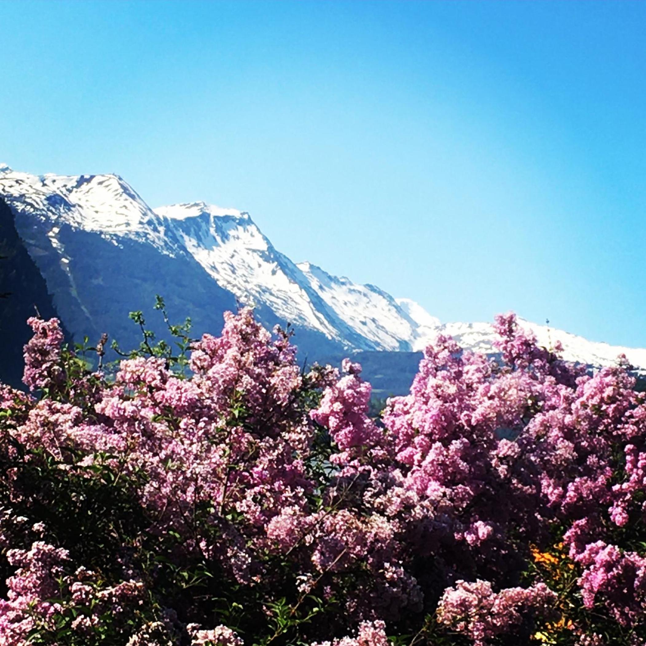 Chalet Franzi - Ruhiges Chalet mit Bergblick, Garten und gratis Eintritt ins Solarbad