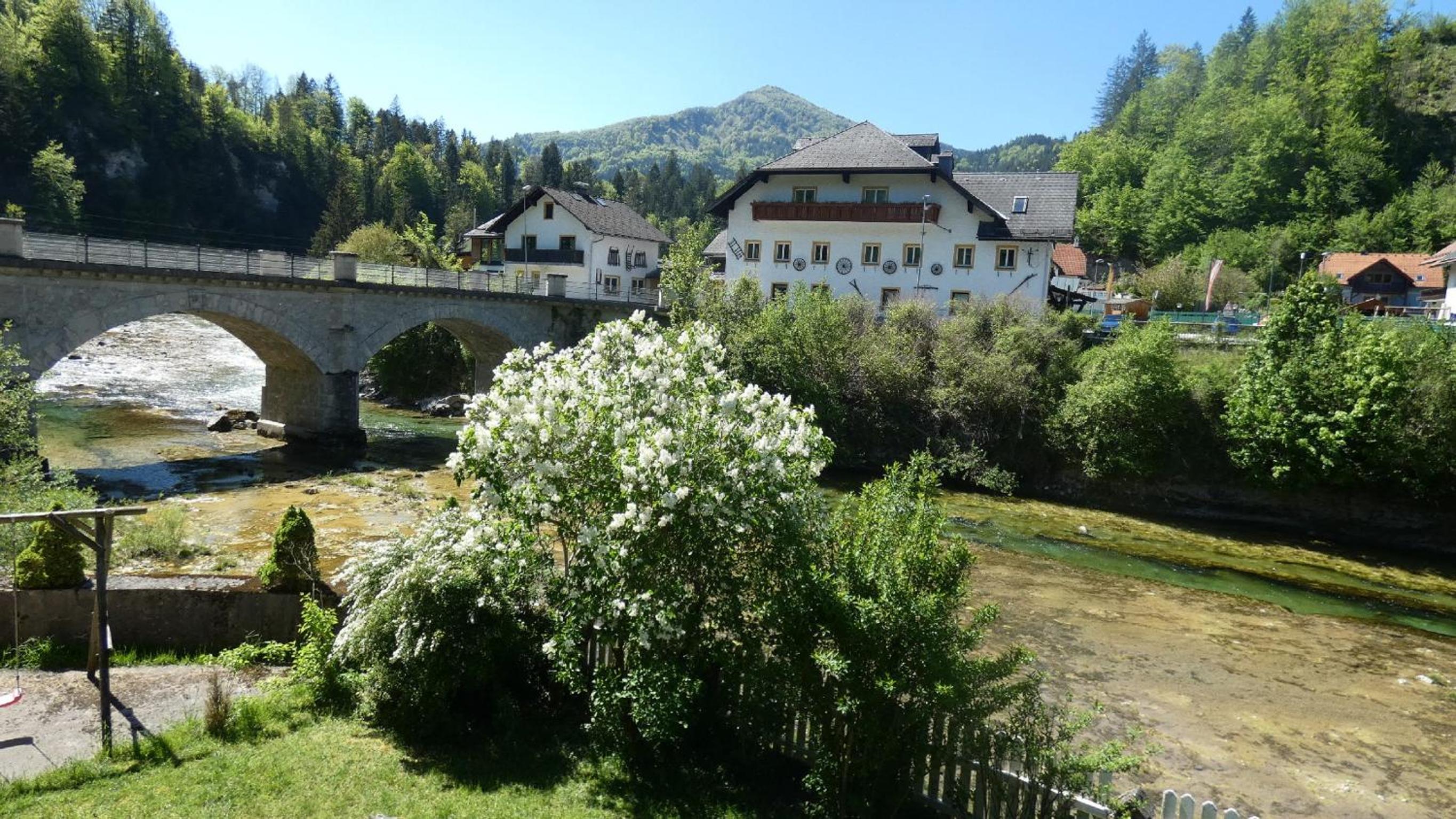 Photo 14