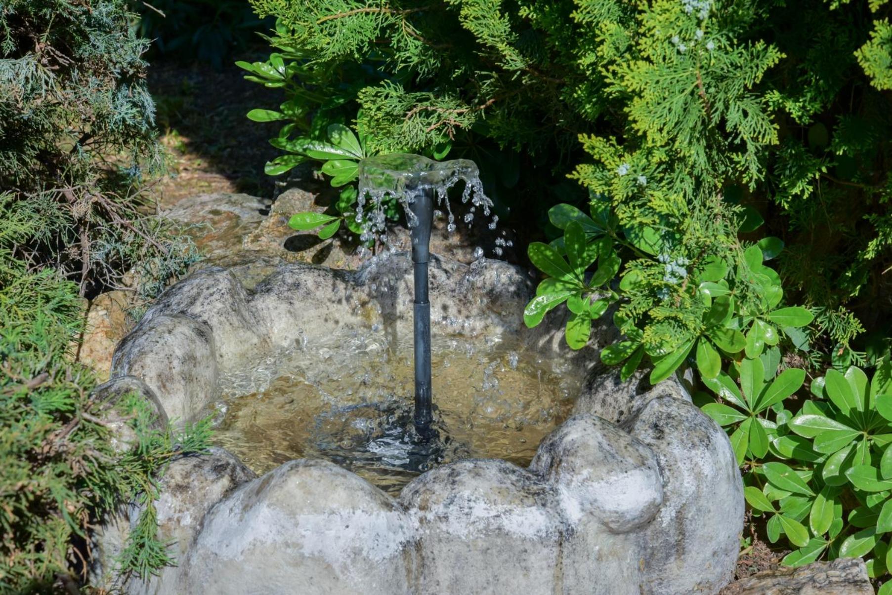 Photo 12