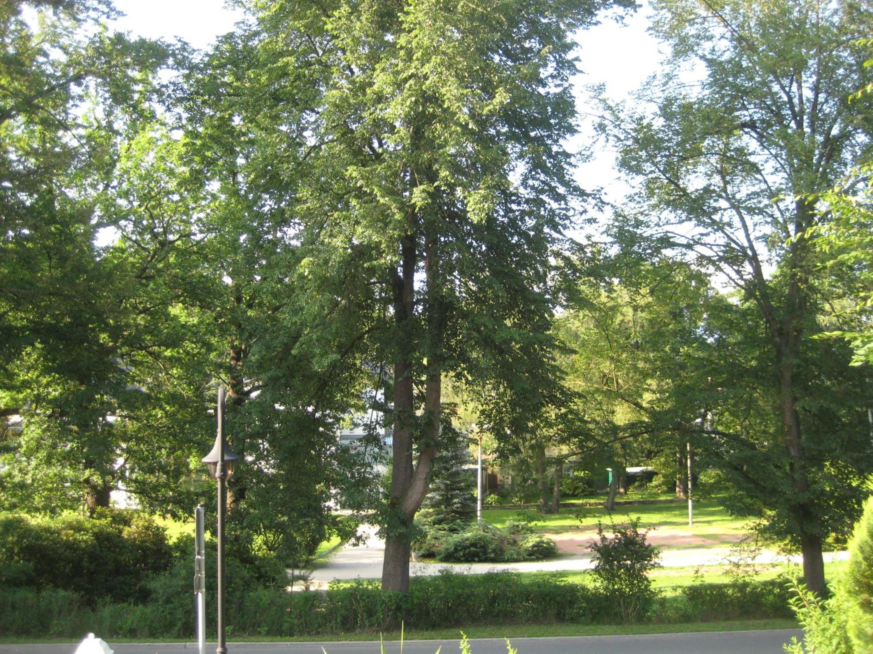 Ferienwohnung Elsterveilchen - 100 m zur Soletherme ,Kurpark & Theater, Parkplatz