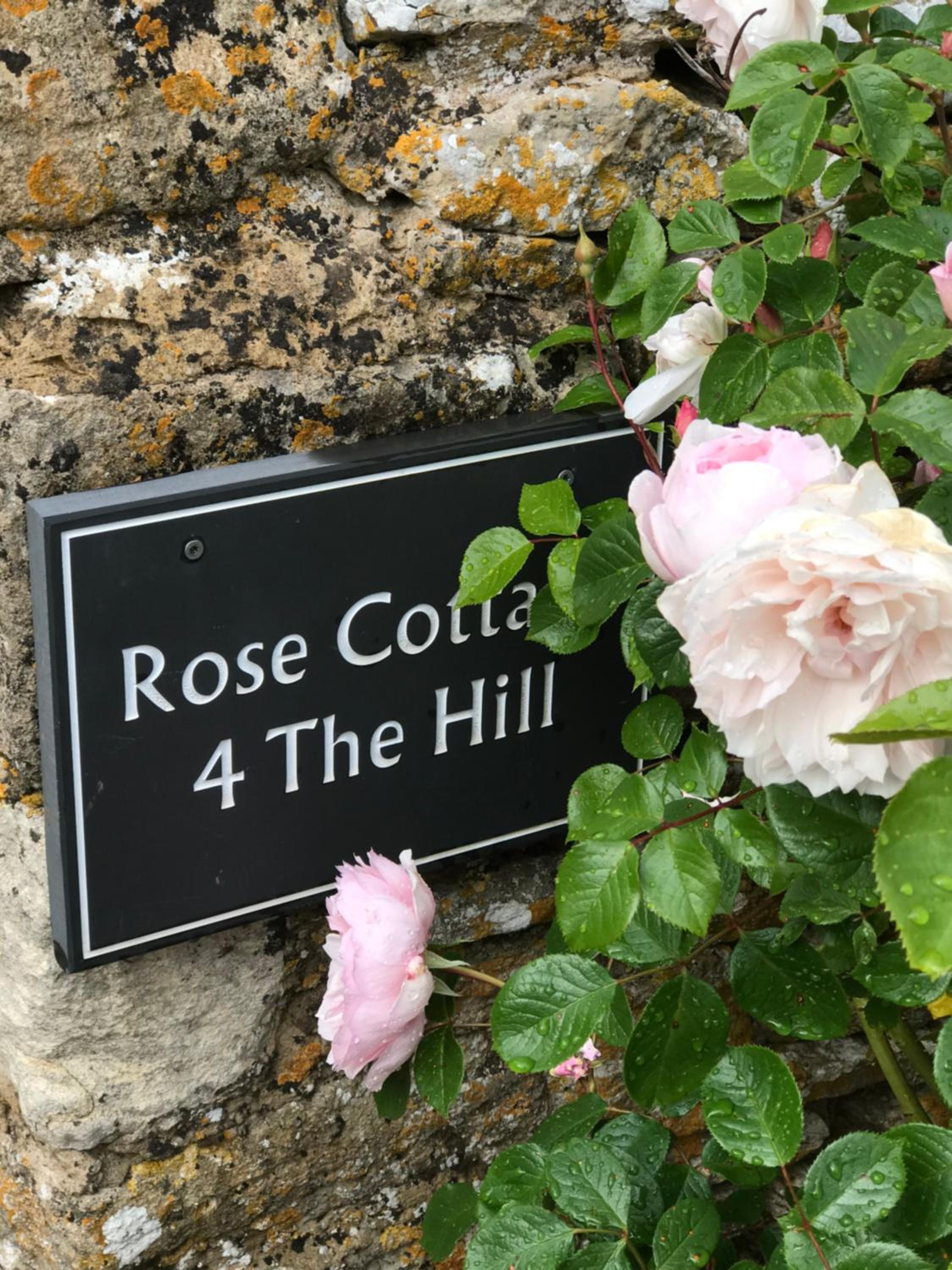 Rose Cottage, 4 The Hill view 5