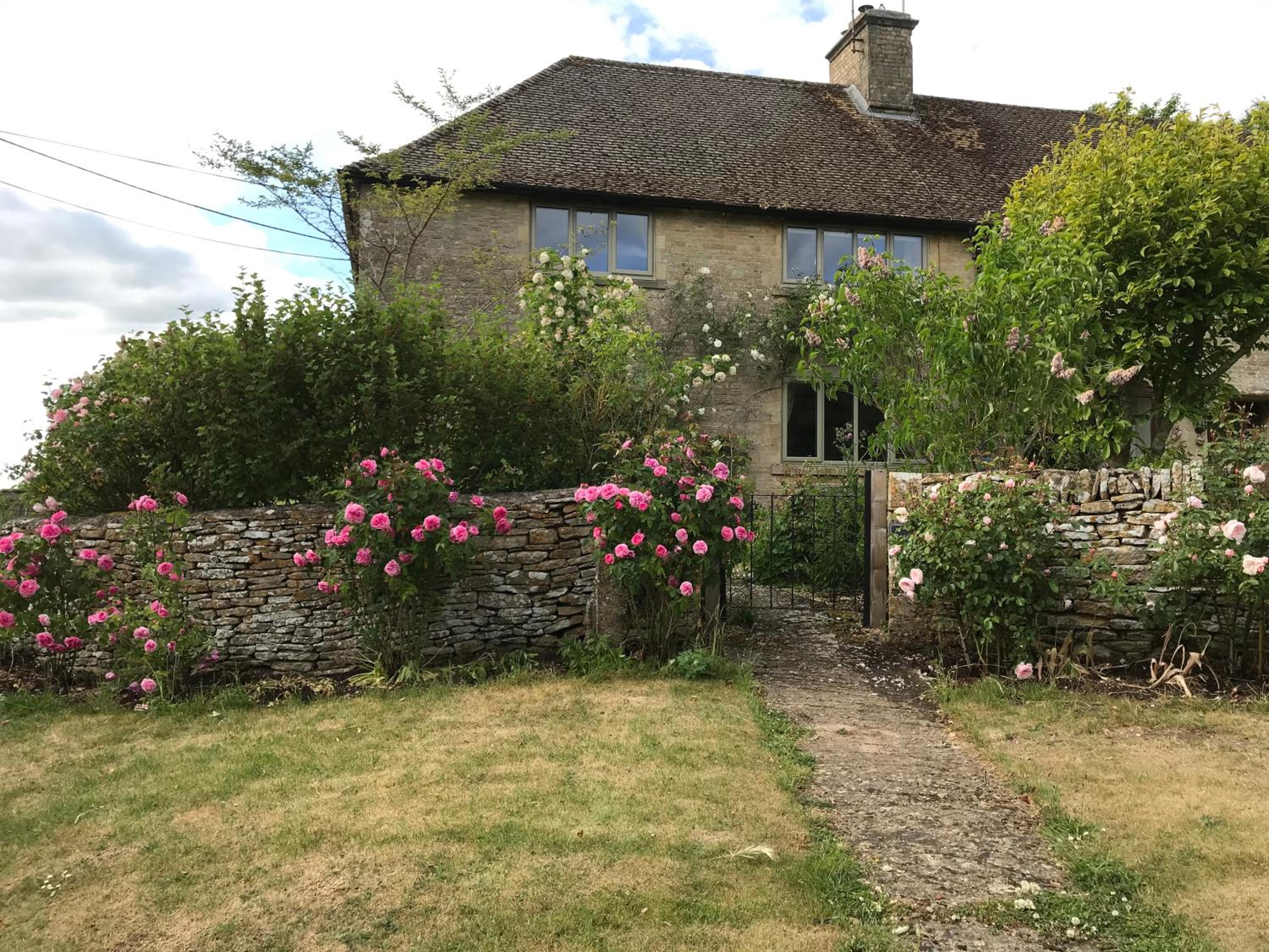 Photo 20