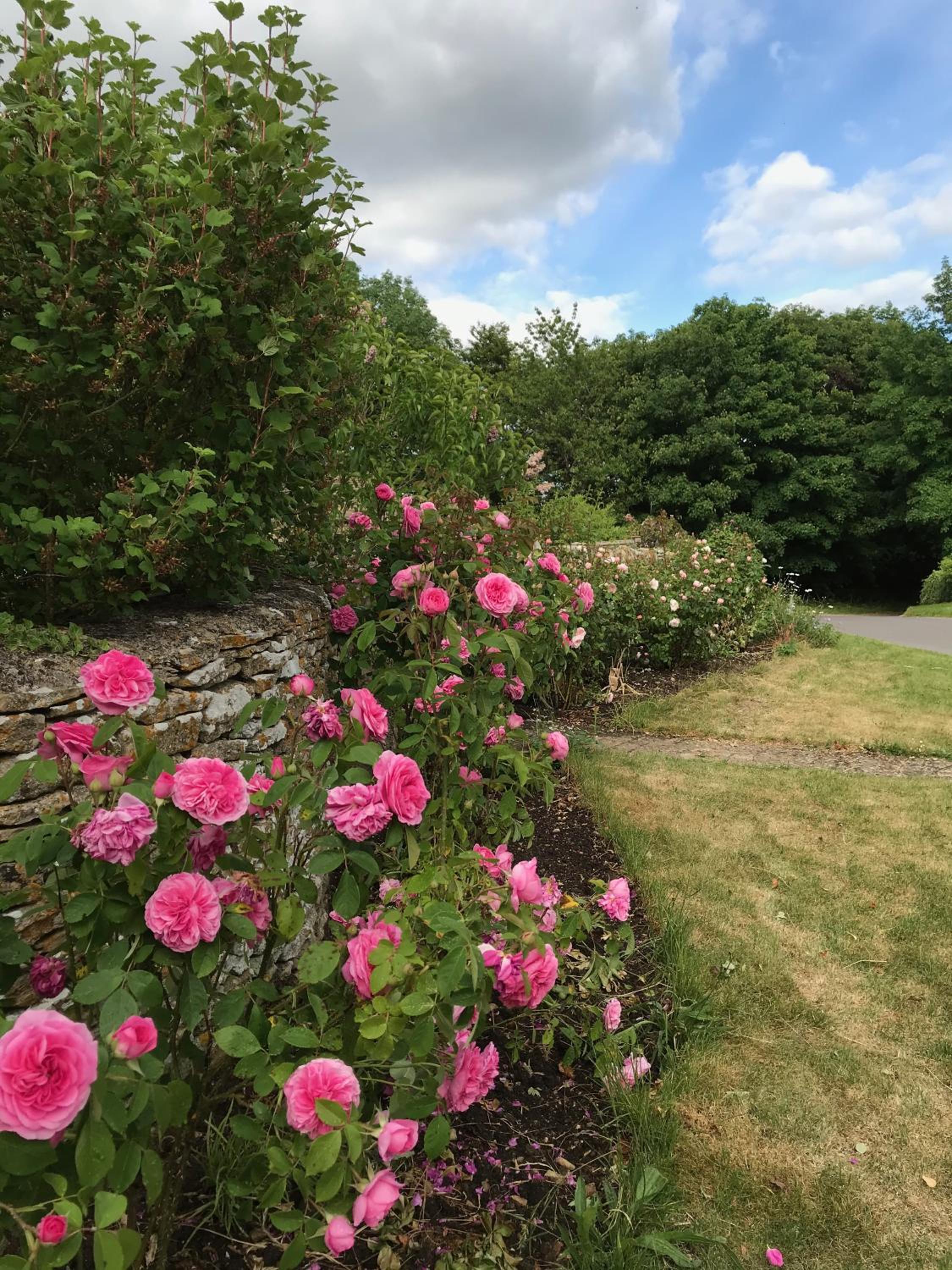 Rose Cottage, 4 The Hill view 4