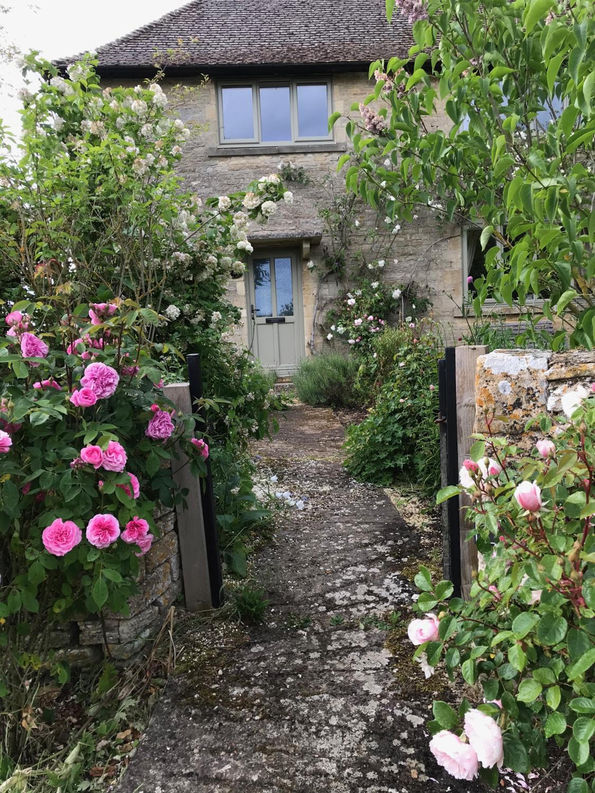 Rose Cottage, 4 The Hill view 2