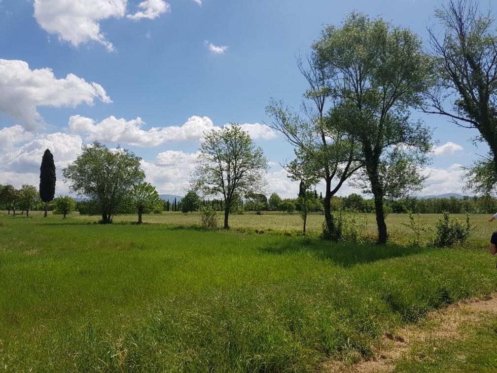 Podere Buriano view 2