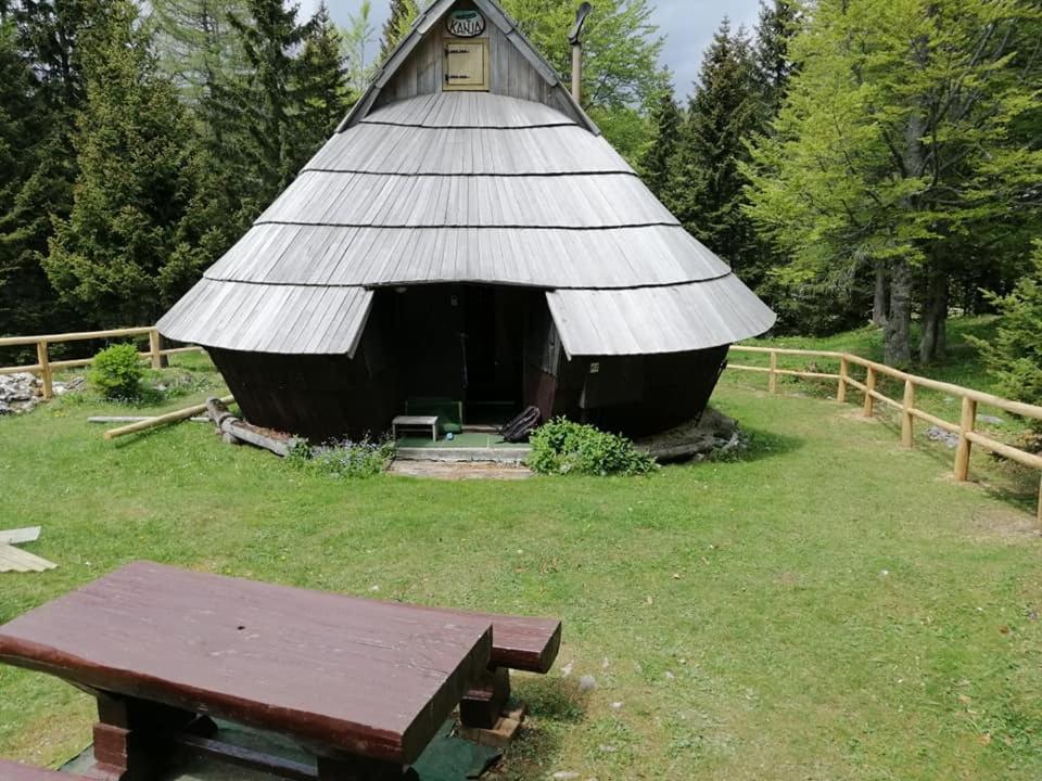 Photo 6