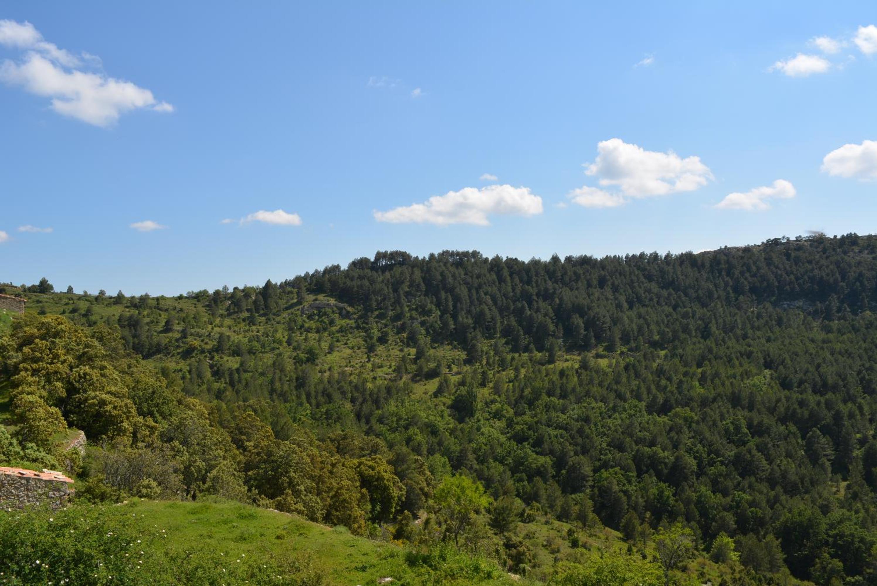 Casa La Mestra view 5