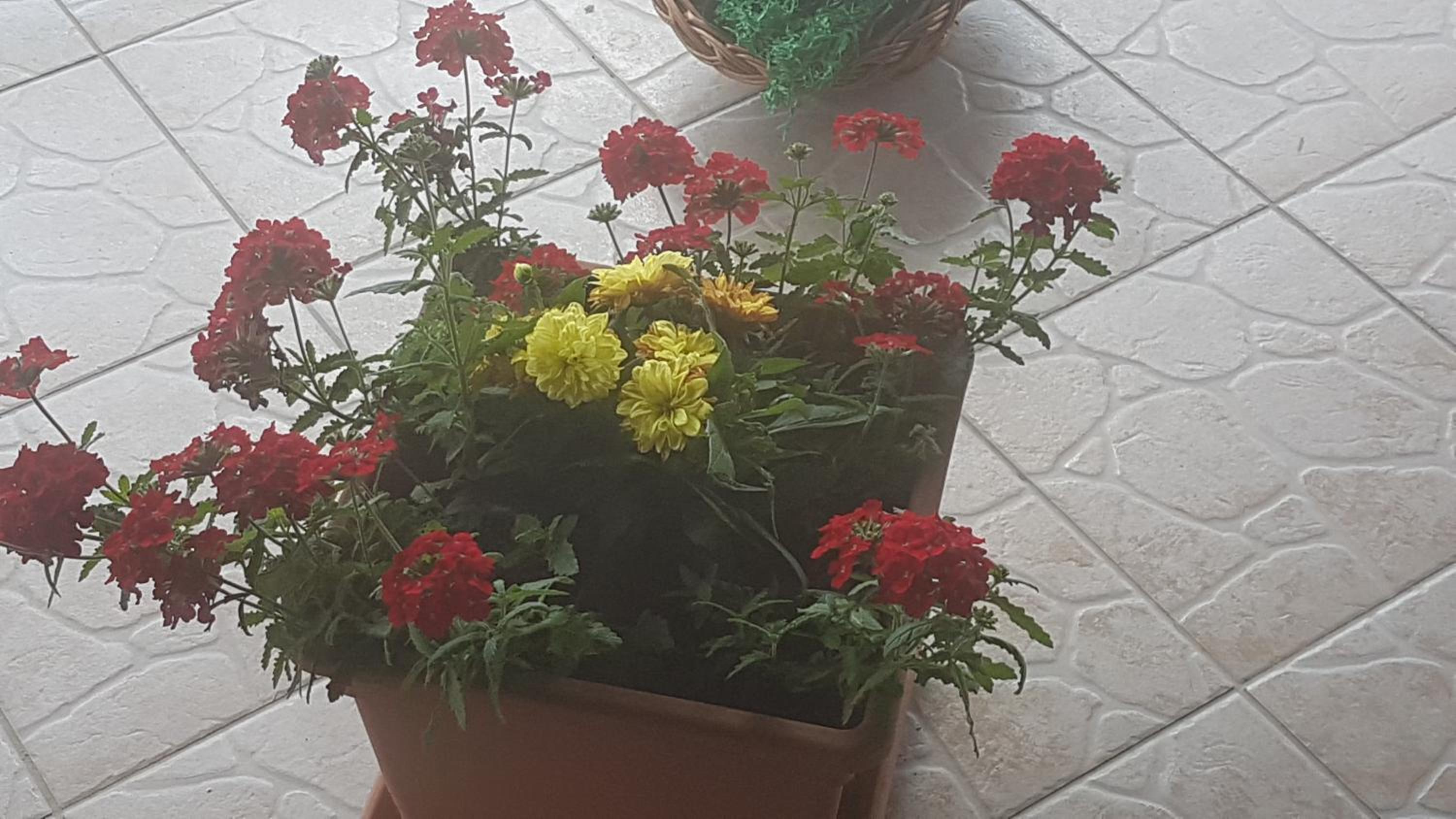APARTMANI KSENIJA view 5