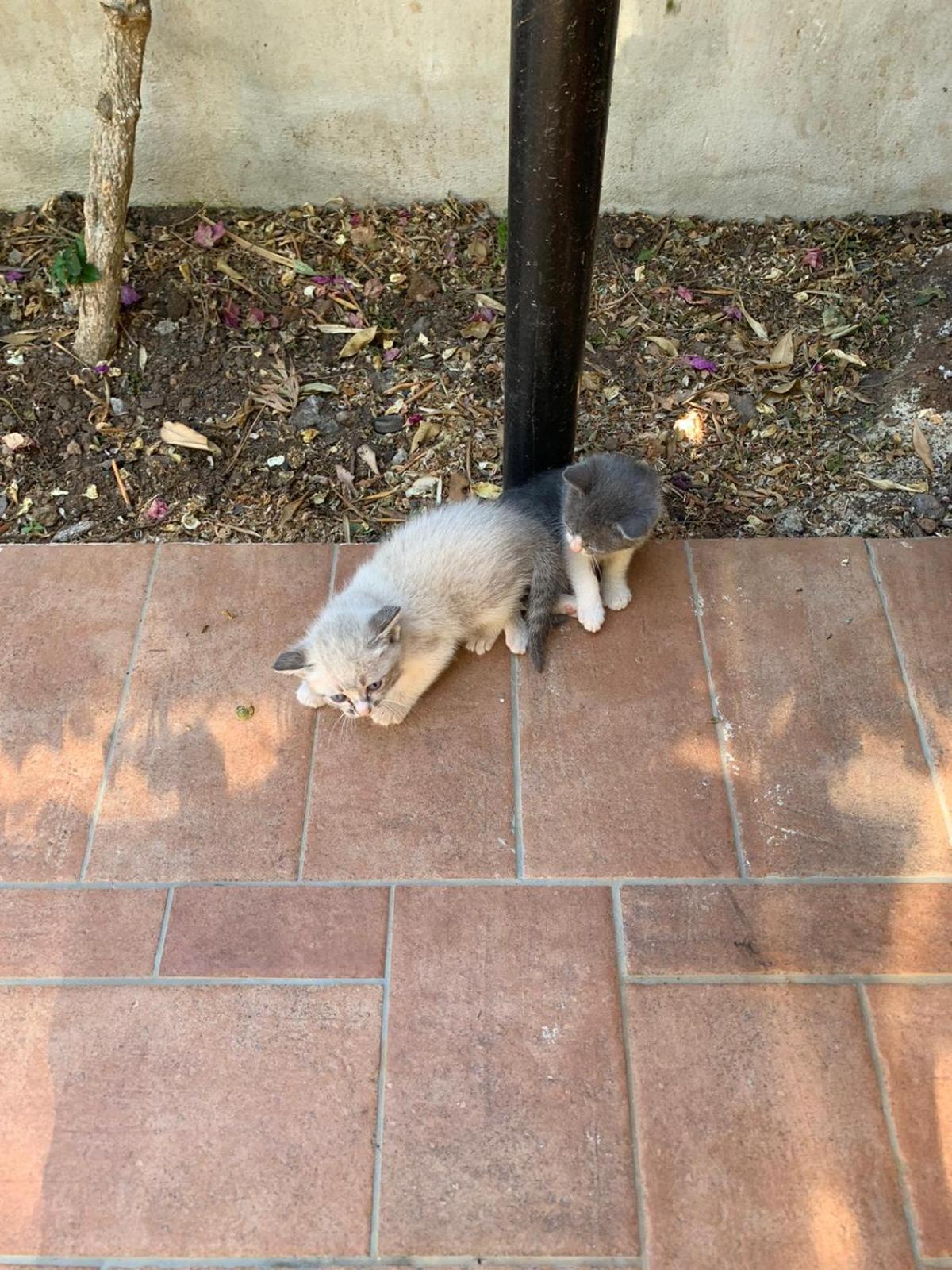 Photo 39