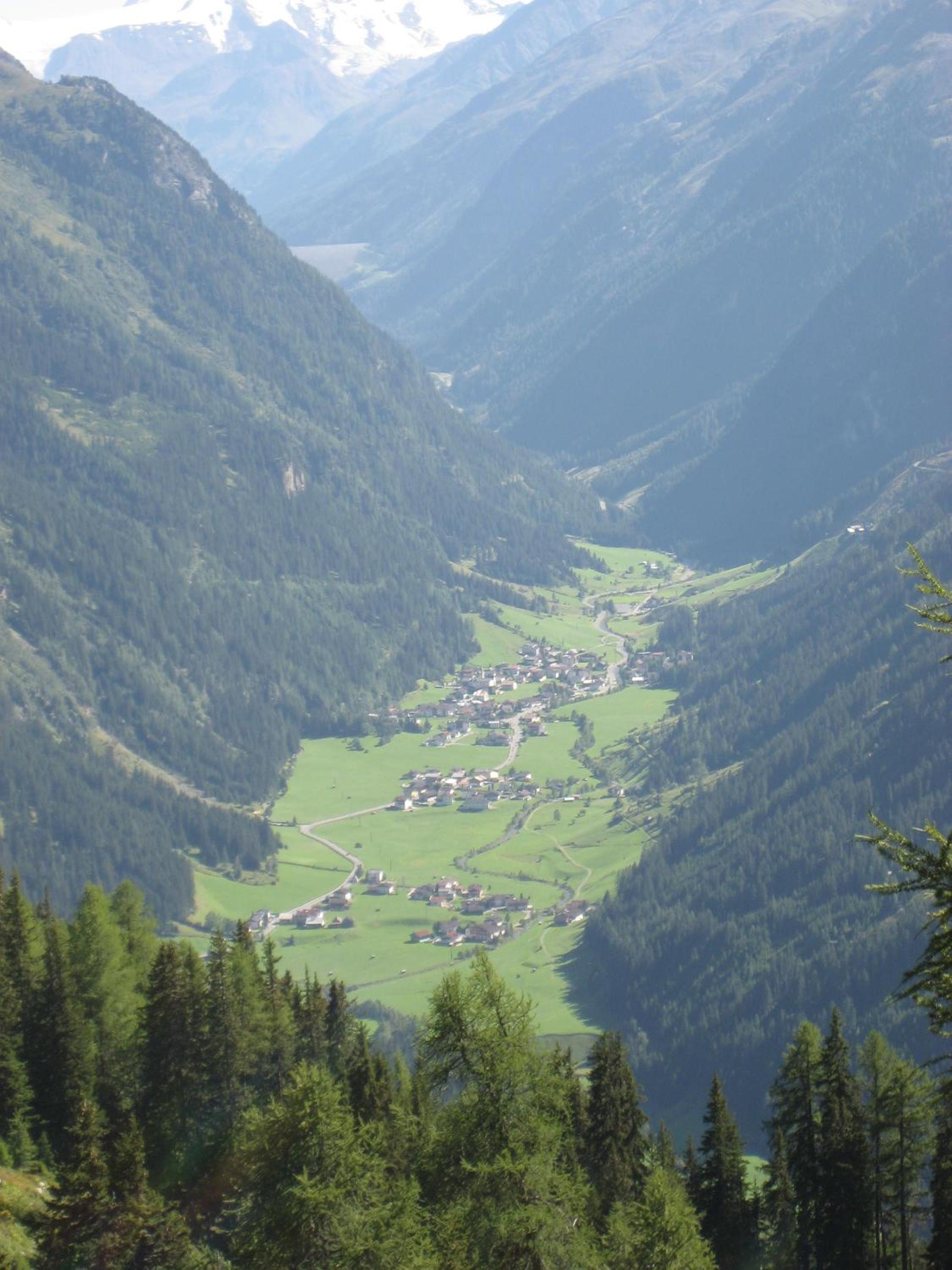 Photo 41