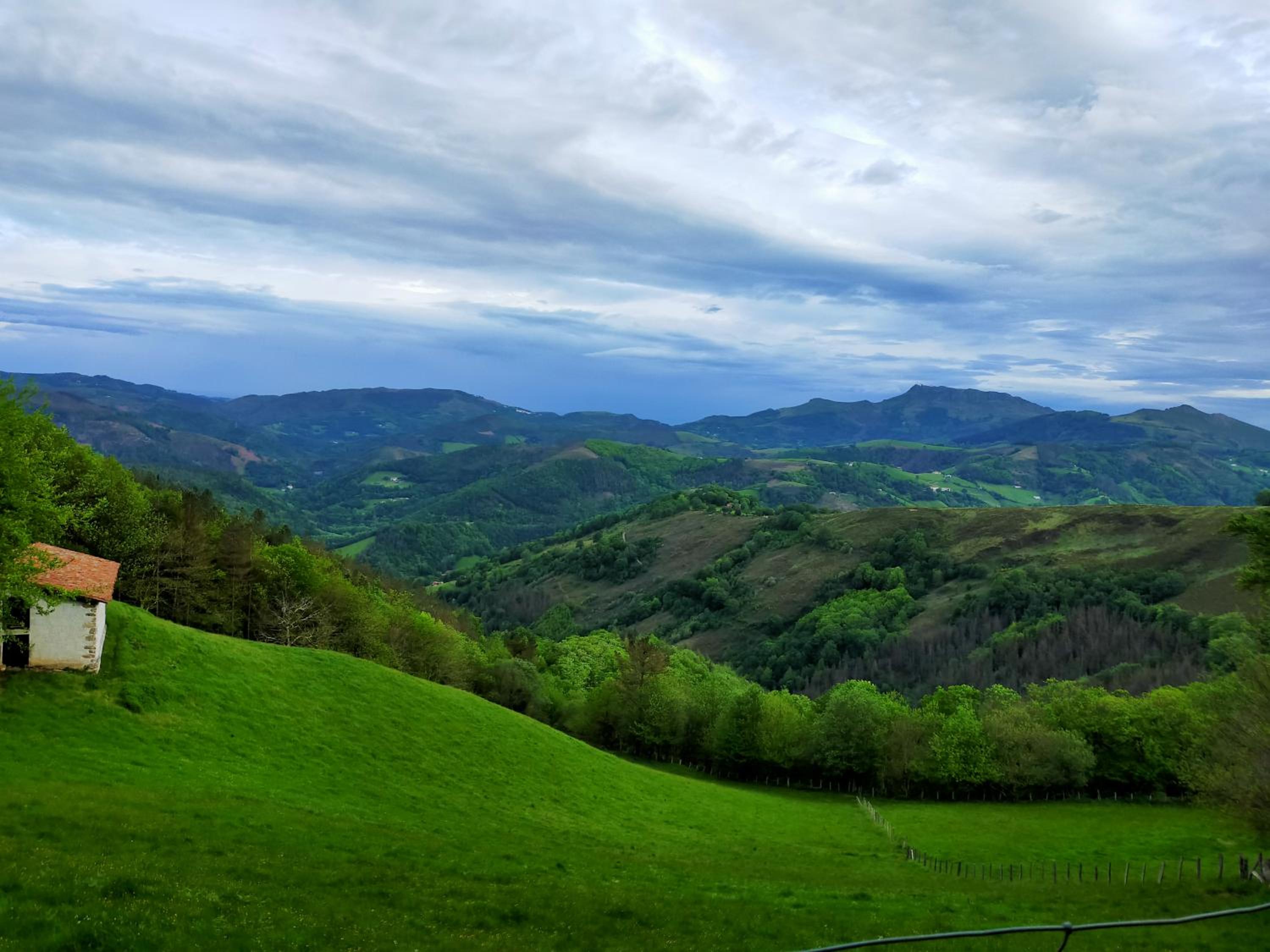 Aldalurberea