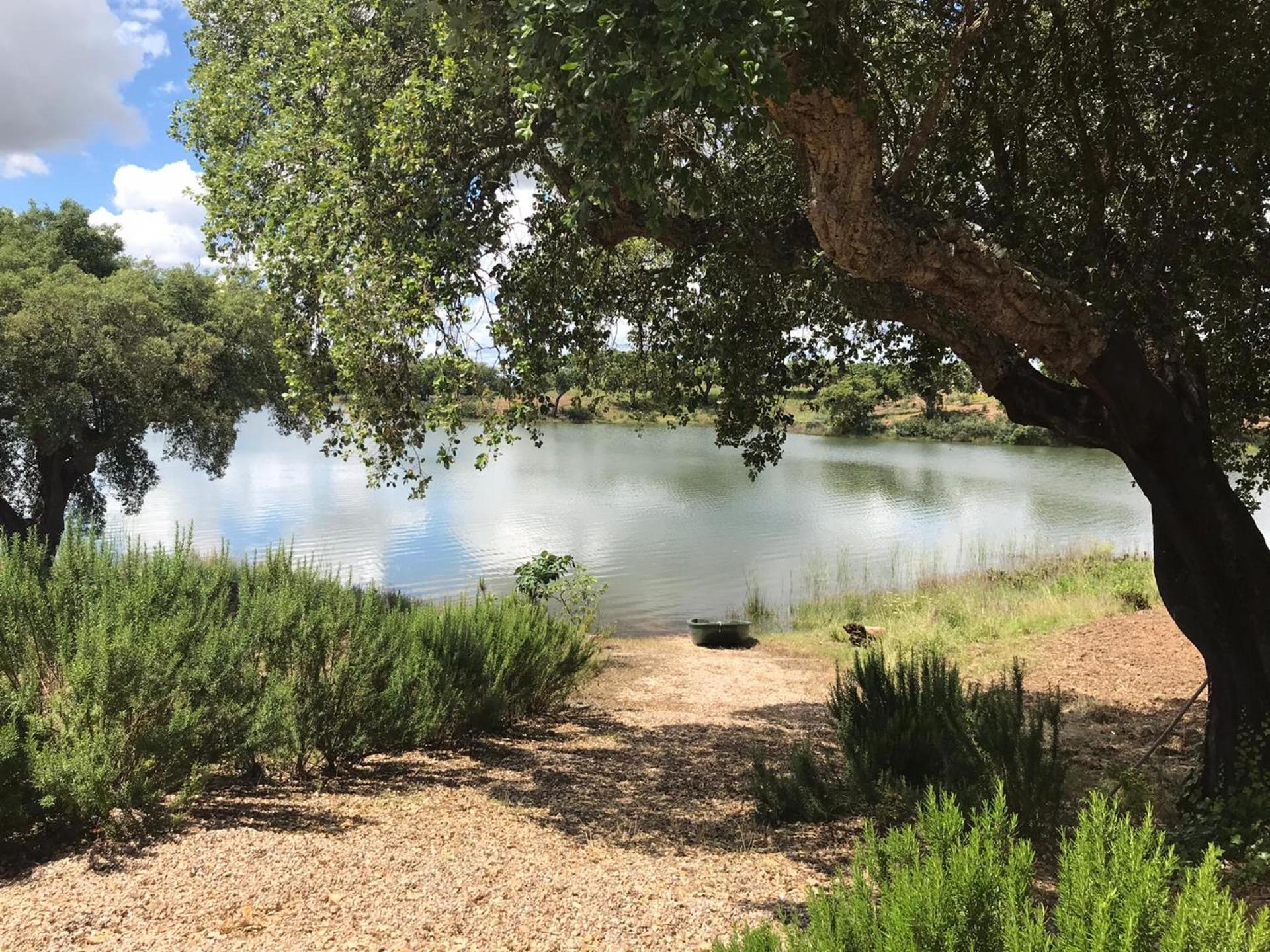 Fontes - A essência do Alentejo com lago privado view 5