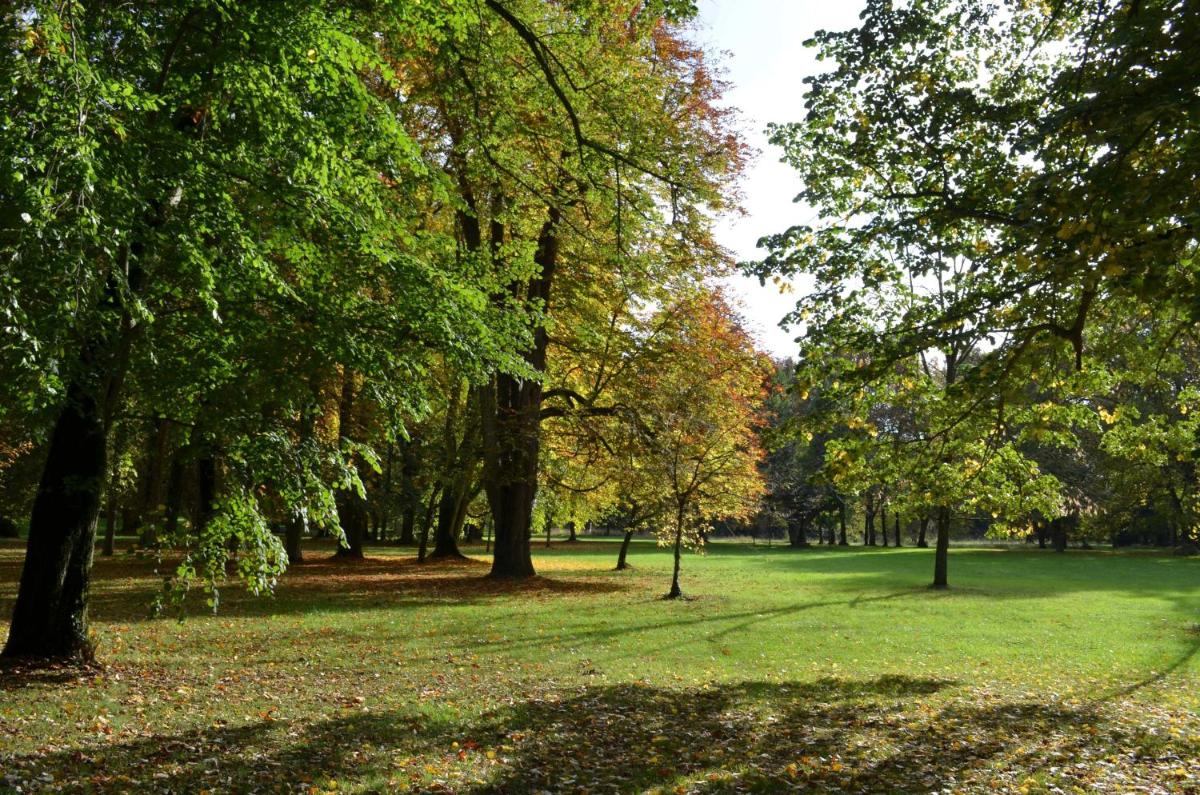 Domaine de Vauluisant
