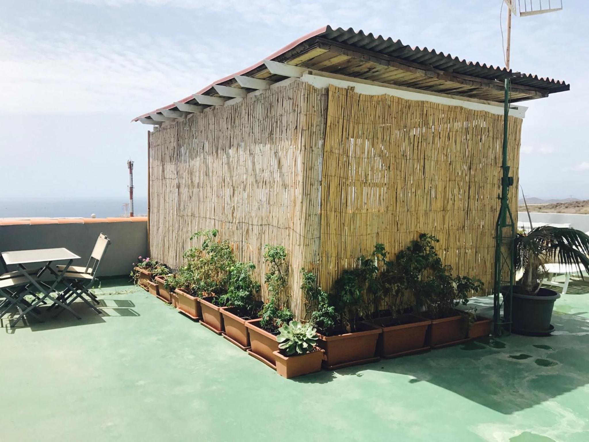 roof