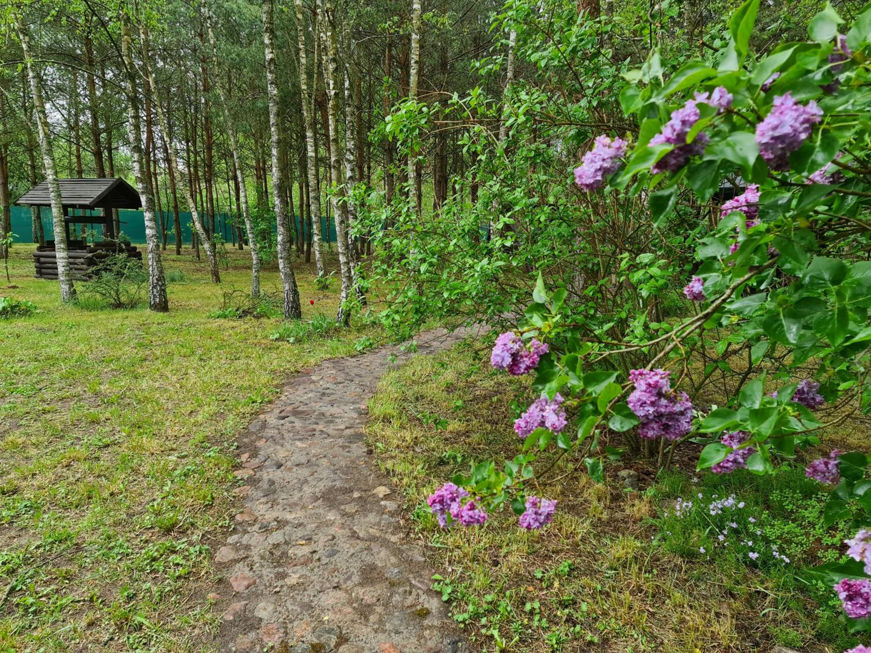 Photo 4