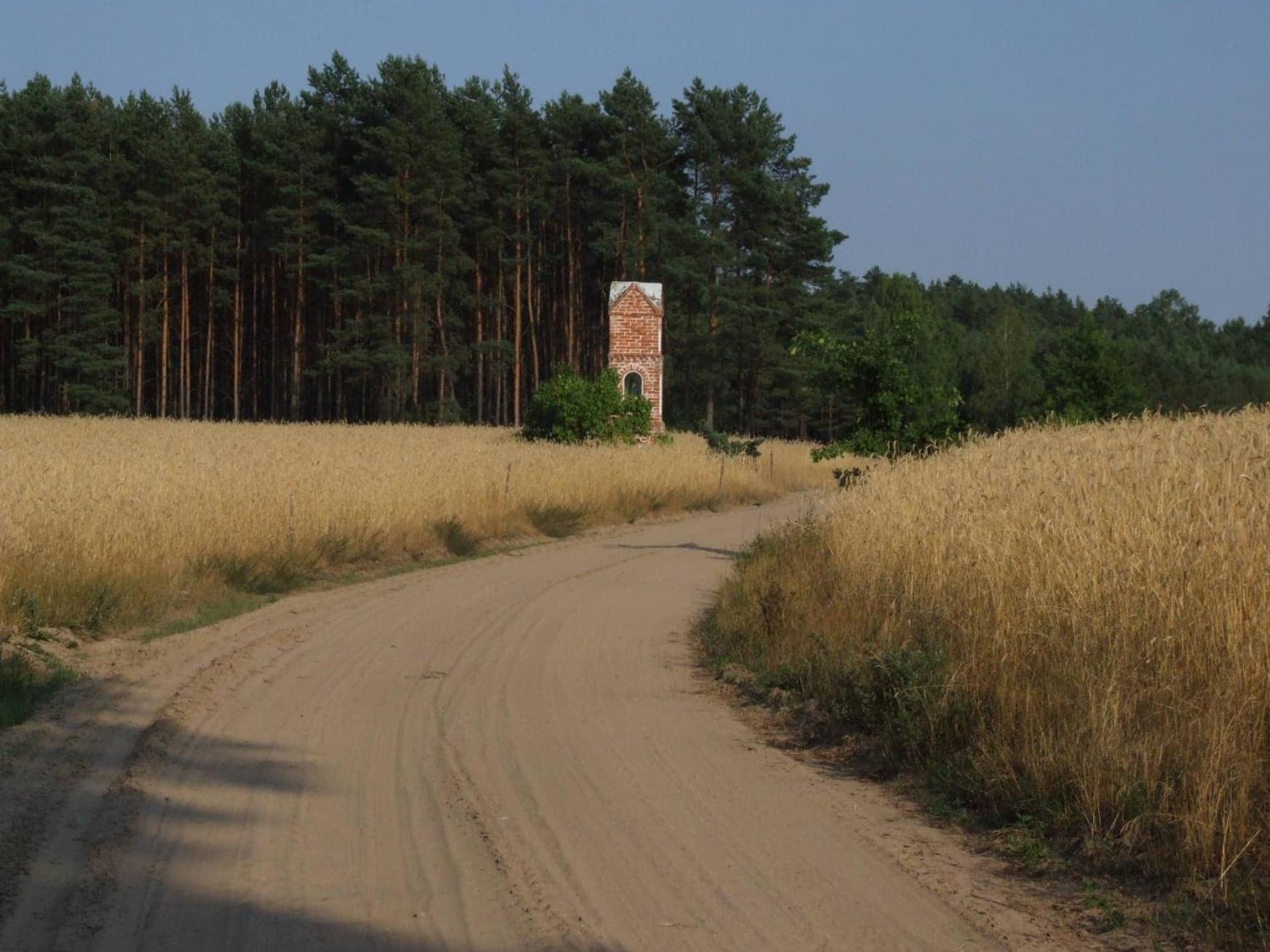 Photo 21