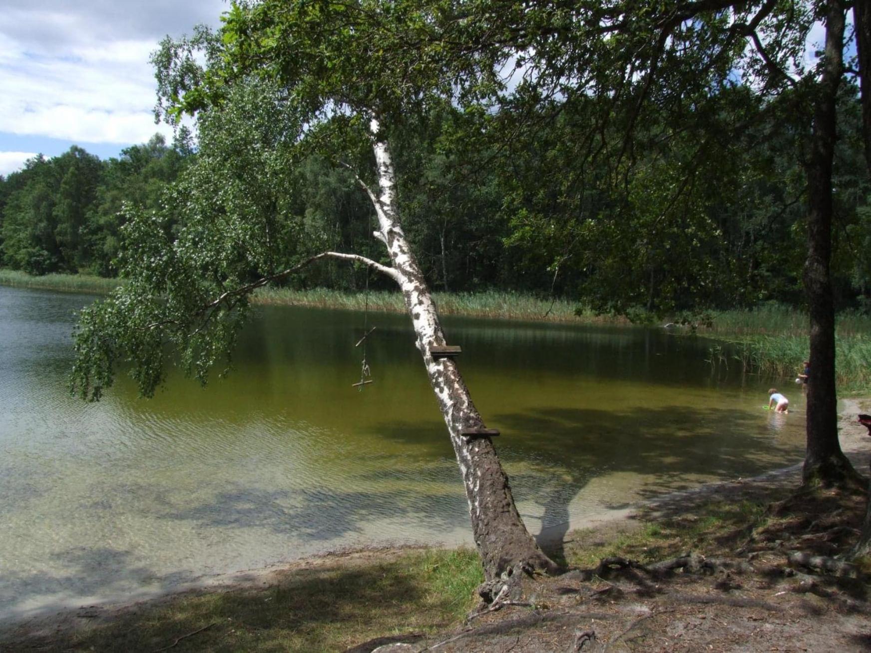 Photo 23