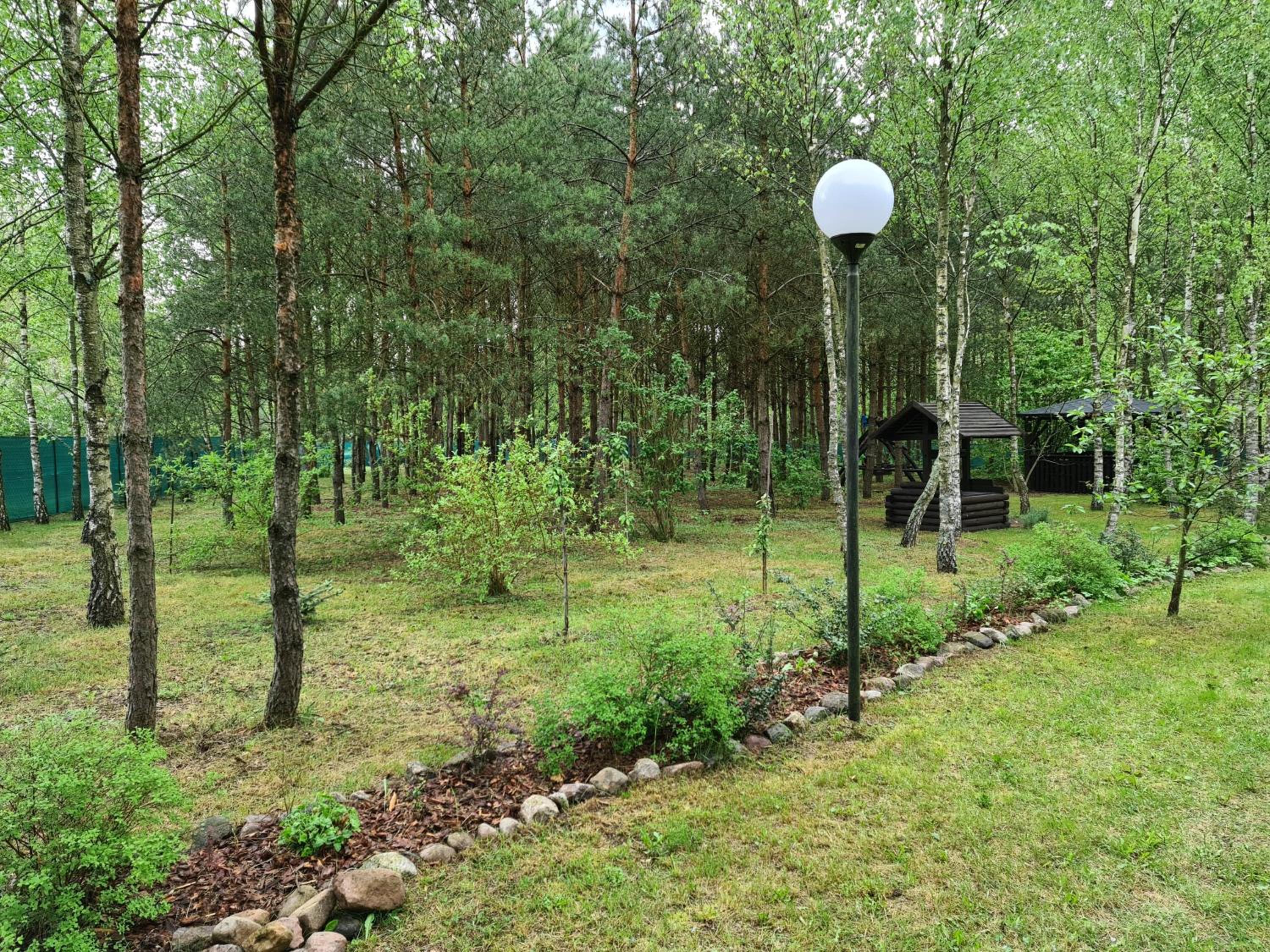 Photo 25