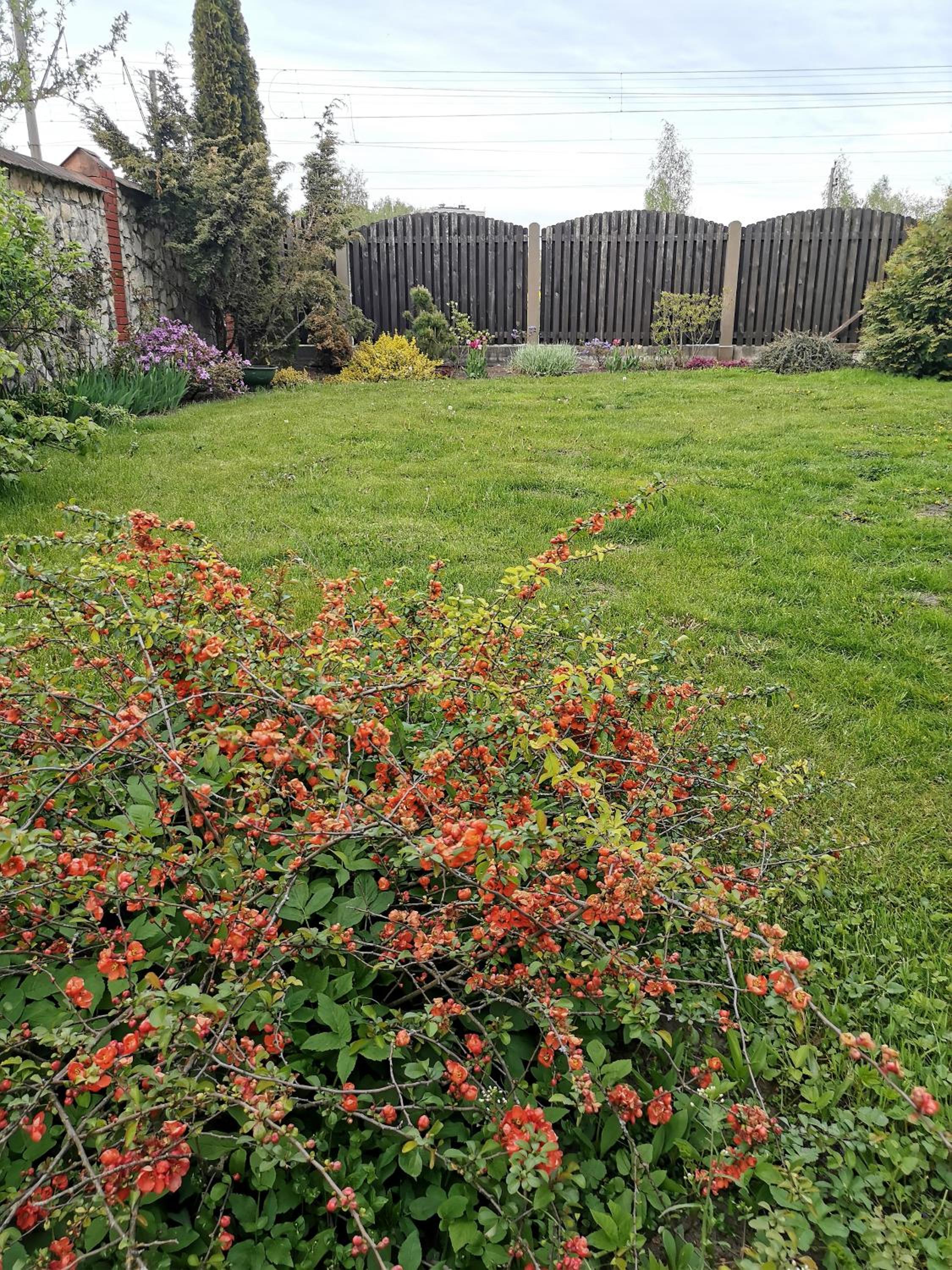 Garden View Home view 4
