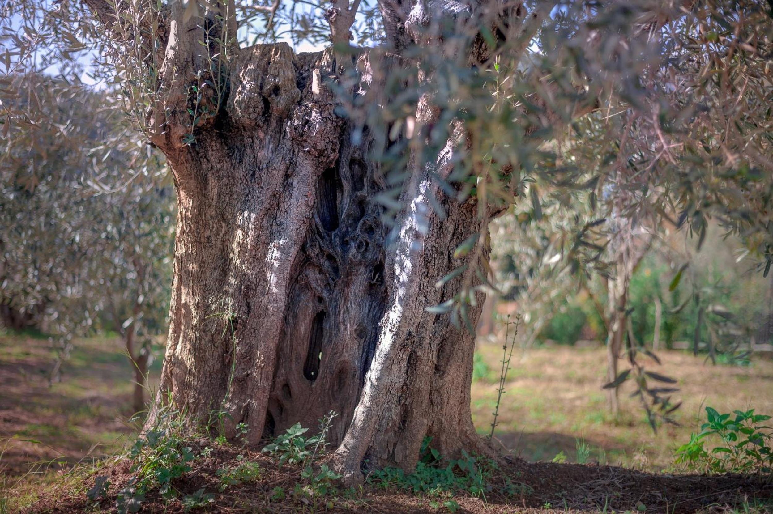 Photo 48