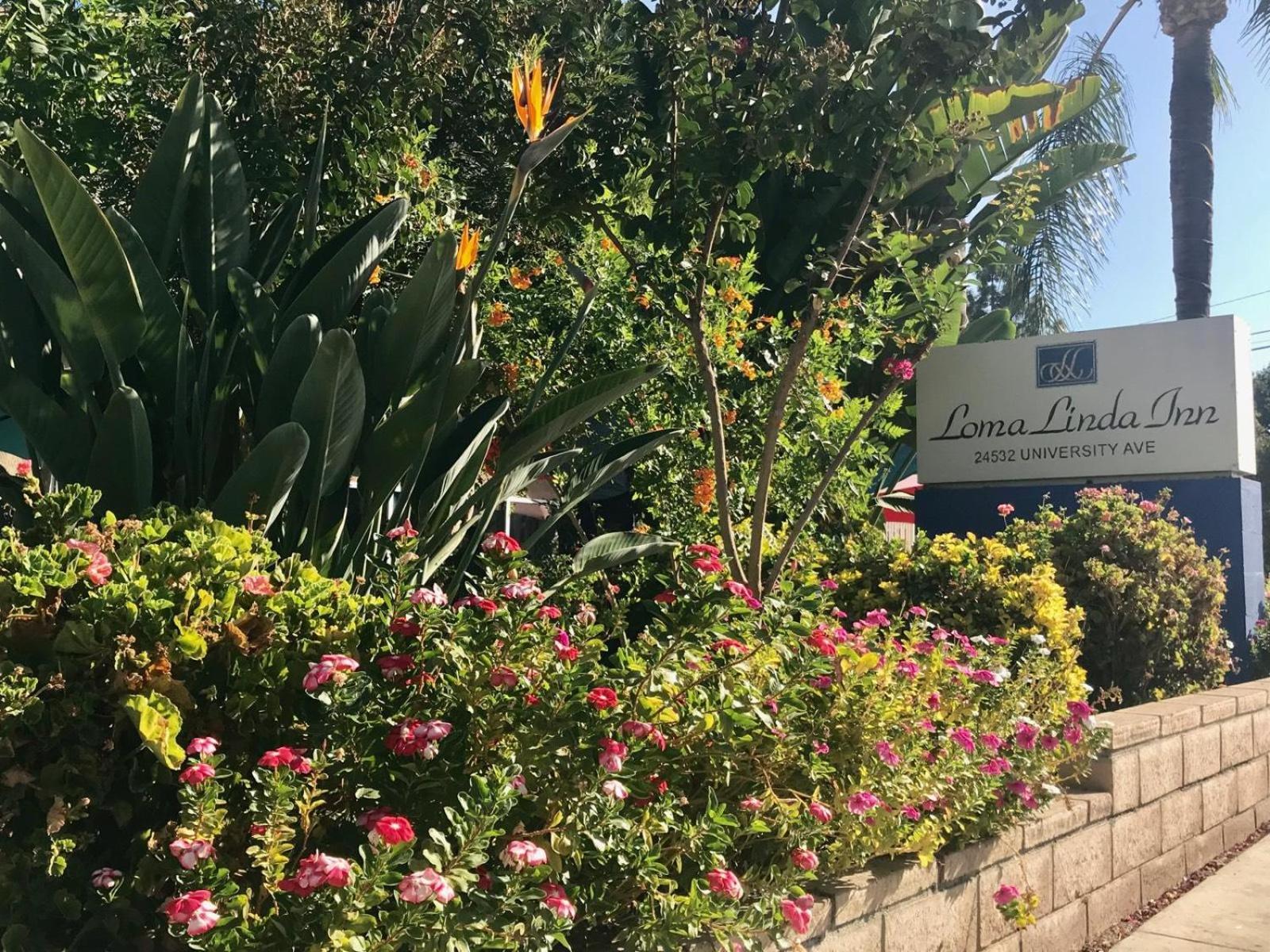 Loma Linda Inn view 4