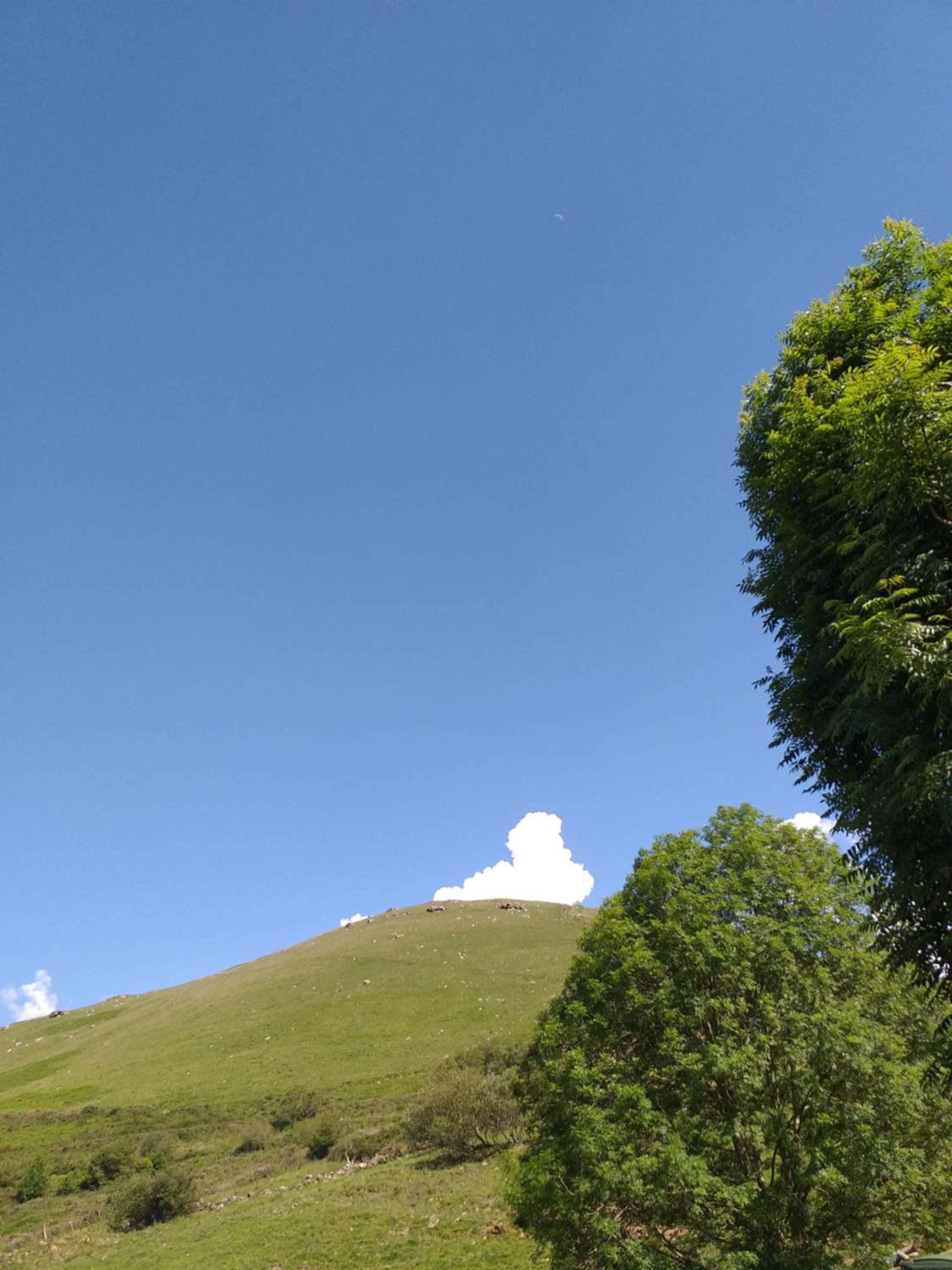 Casuca Pico Jiniro view 5
