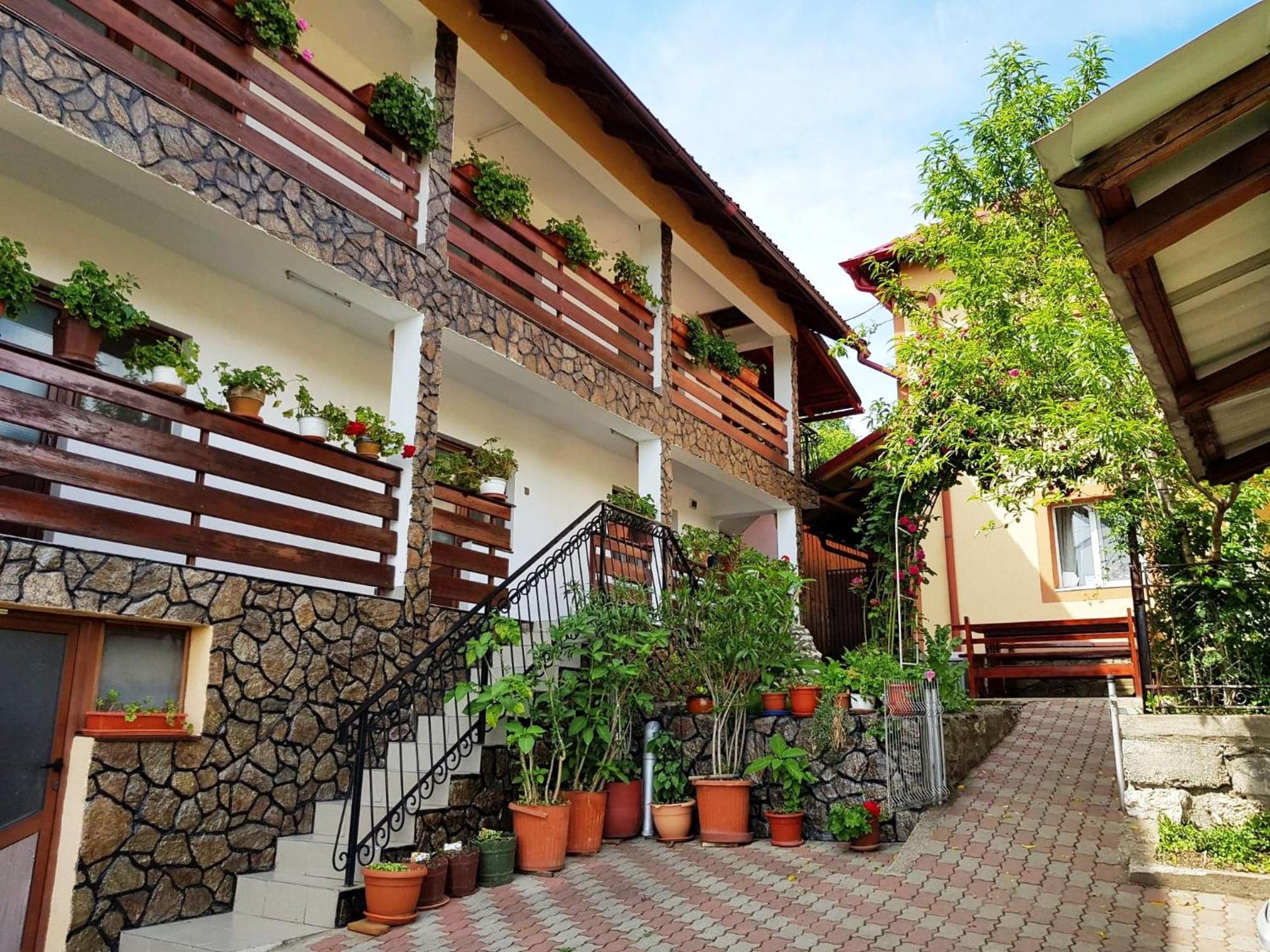 Pensiunea Dana view 5