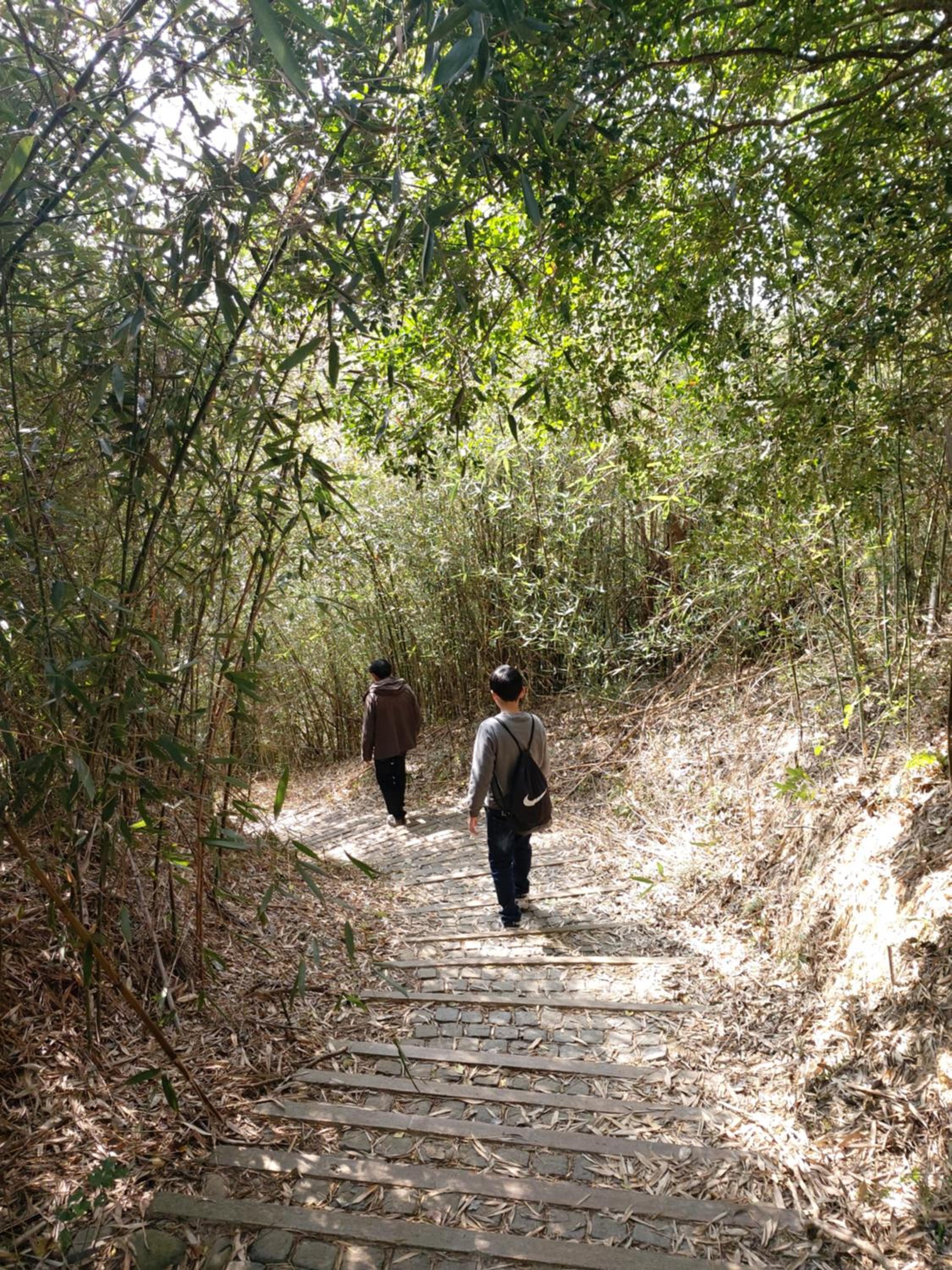 Photo 40