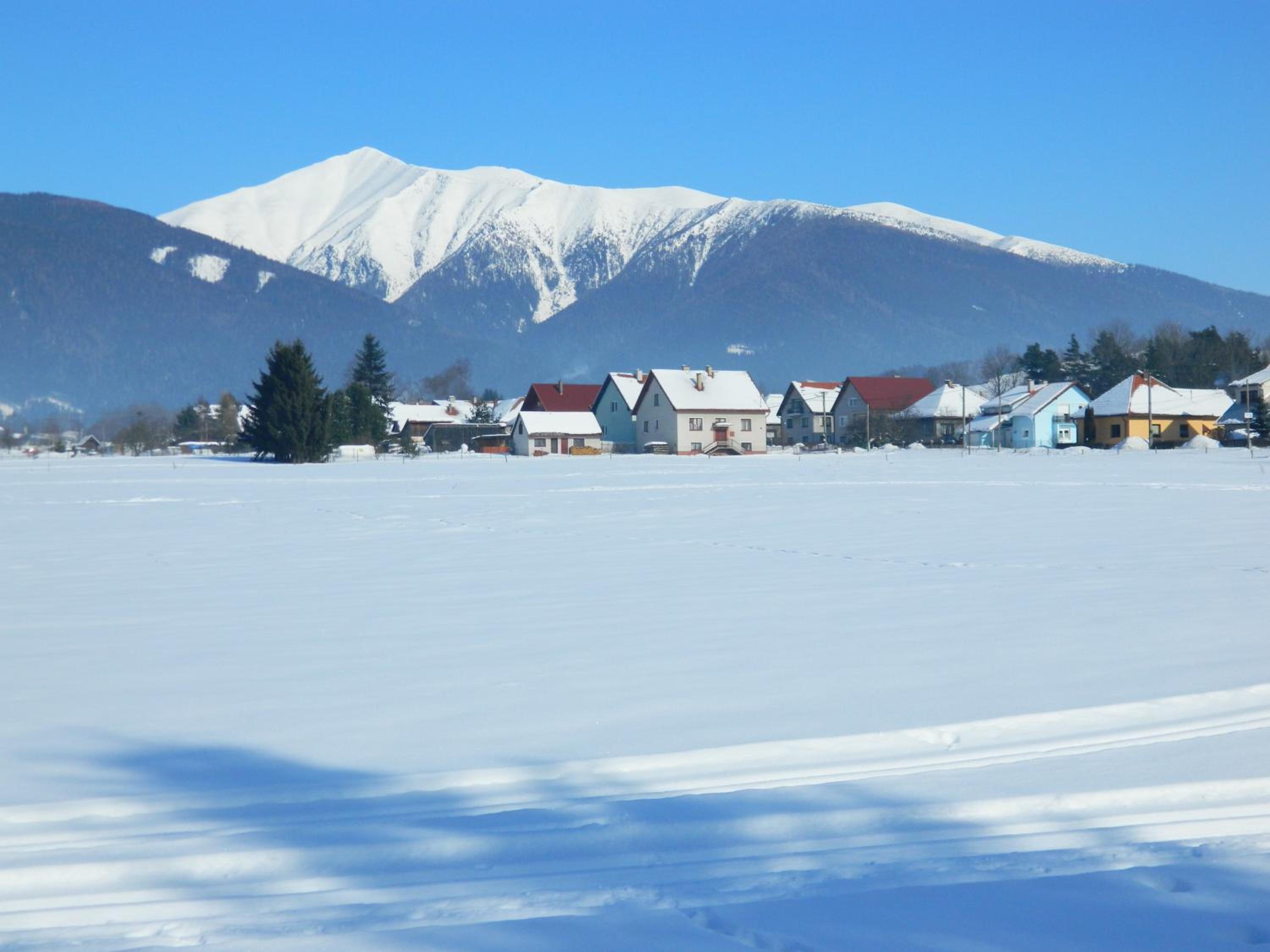 Photo 42